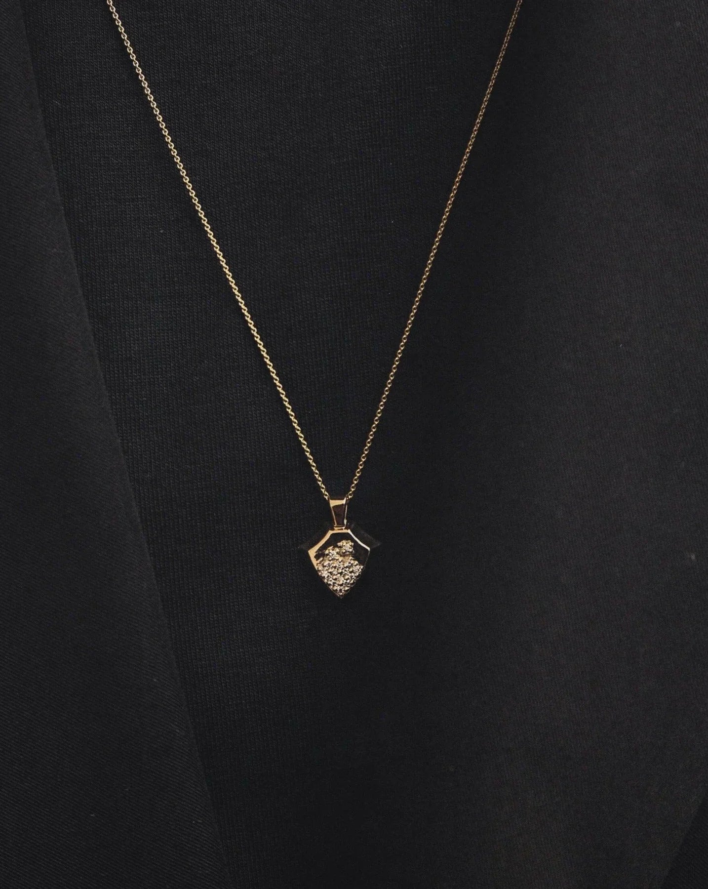 Shield necklace - Shield Necklace - The Future Rocks - 6
