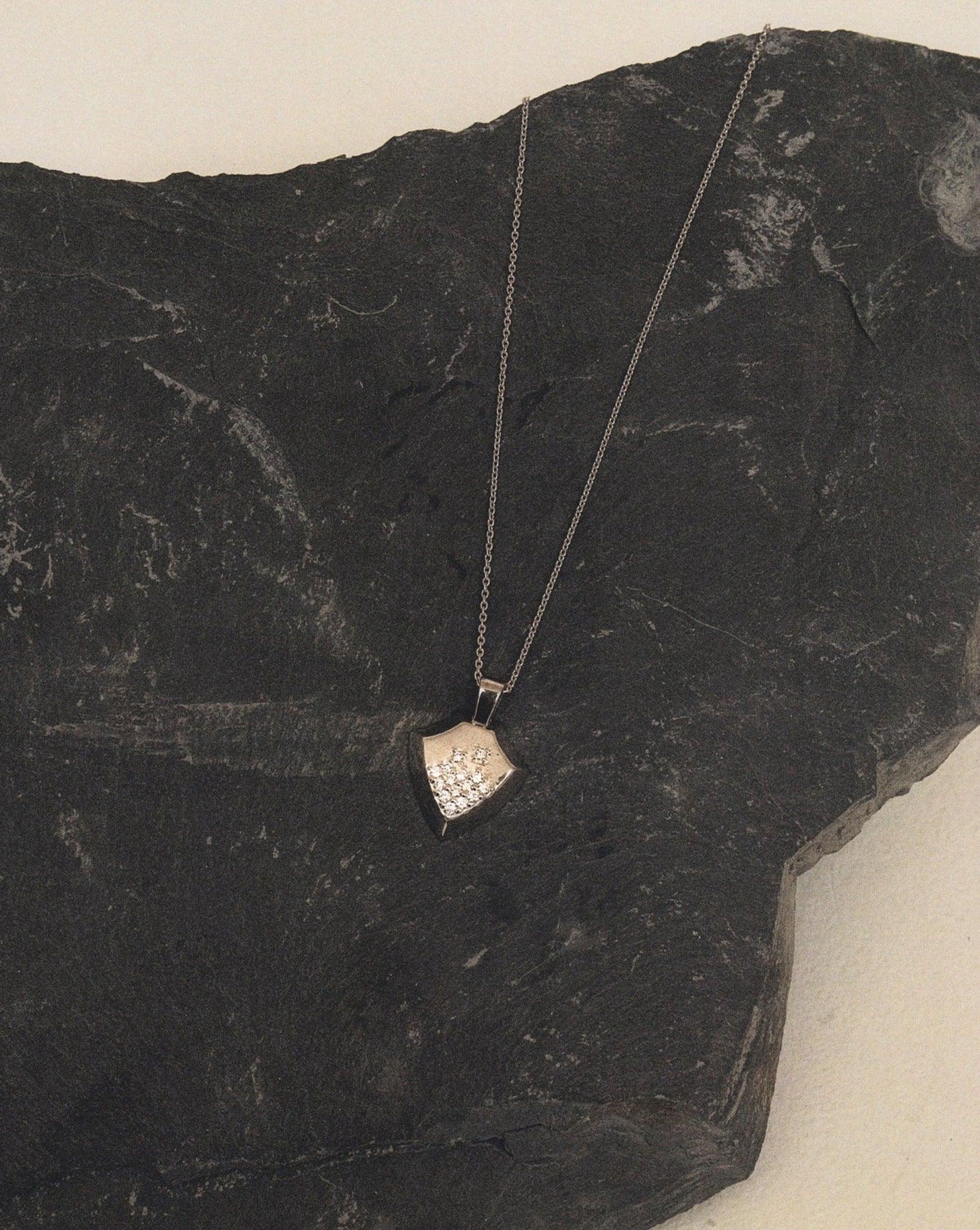 Shield necklace - Shield Necklace - The Future Rocks - 5