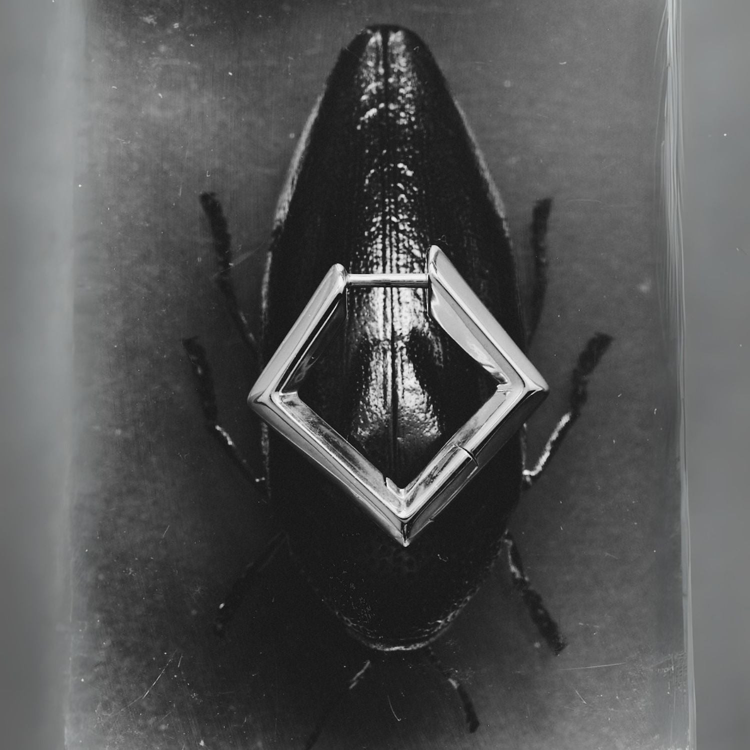 Sculptura square earrings - Sculptura square earrings - The Future Rocks - 6