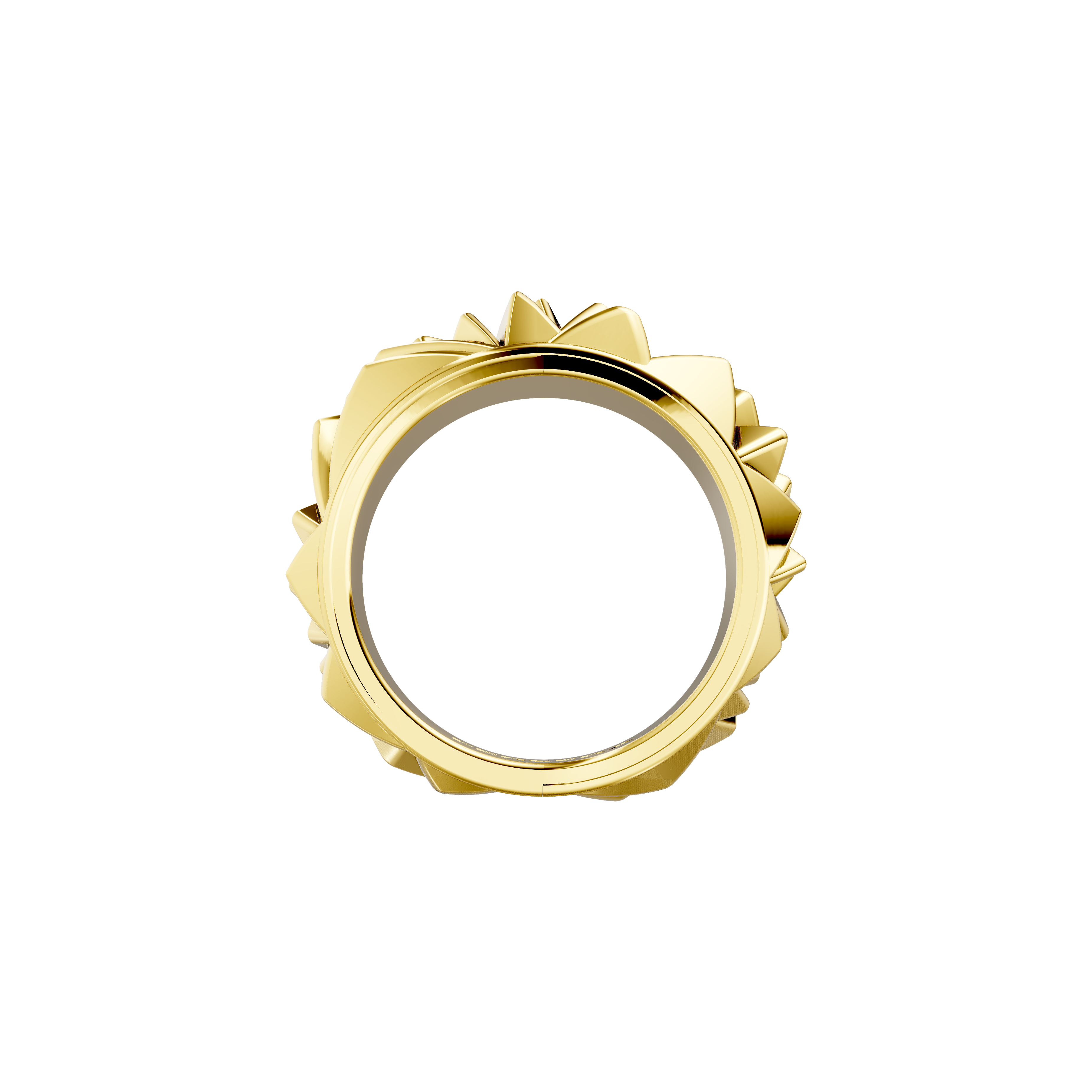 The sculptor's facet ring - The sculptor's facet ring - The Future Rocks - 7