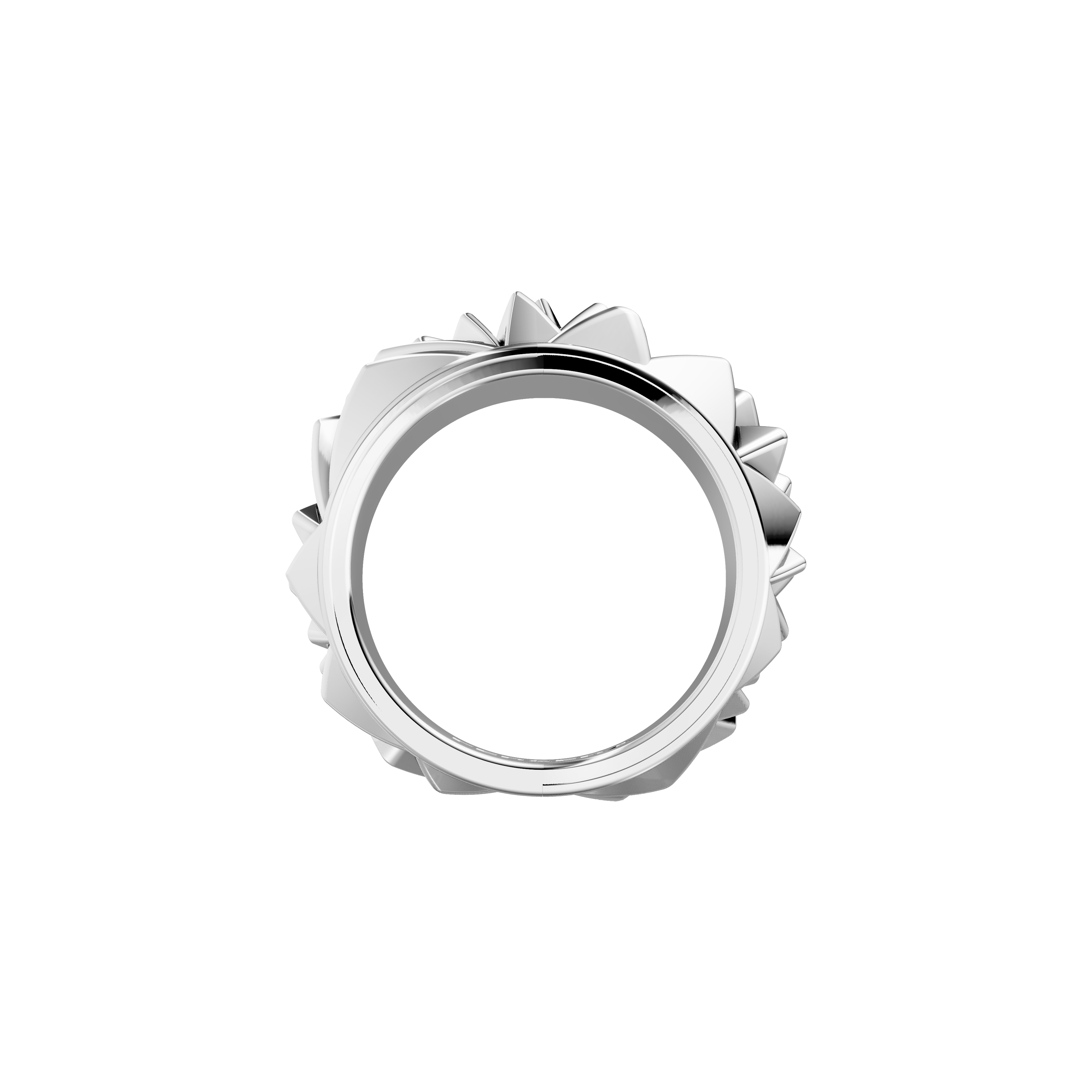 The sculptor's facet ring - The sculptor's facet ring - The Future Rocks - 8