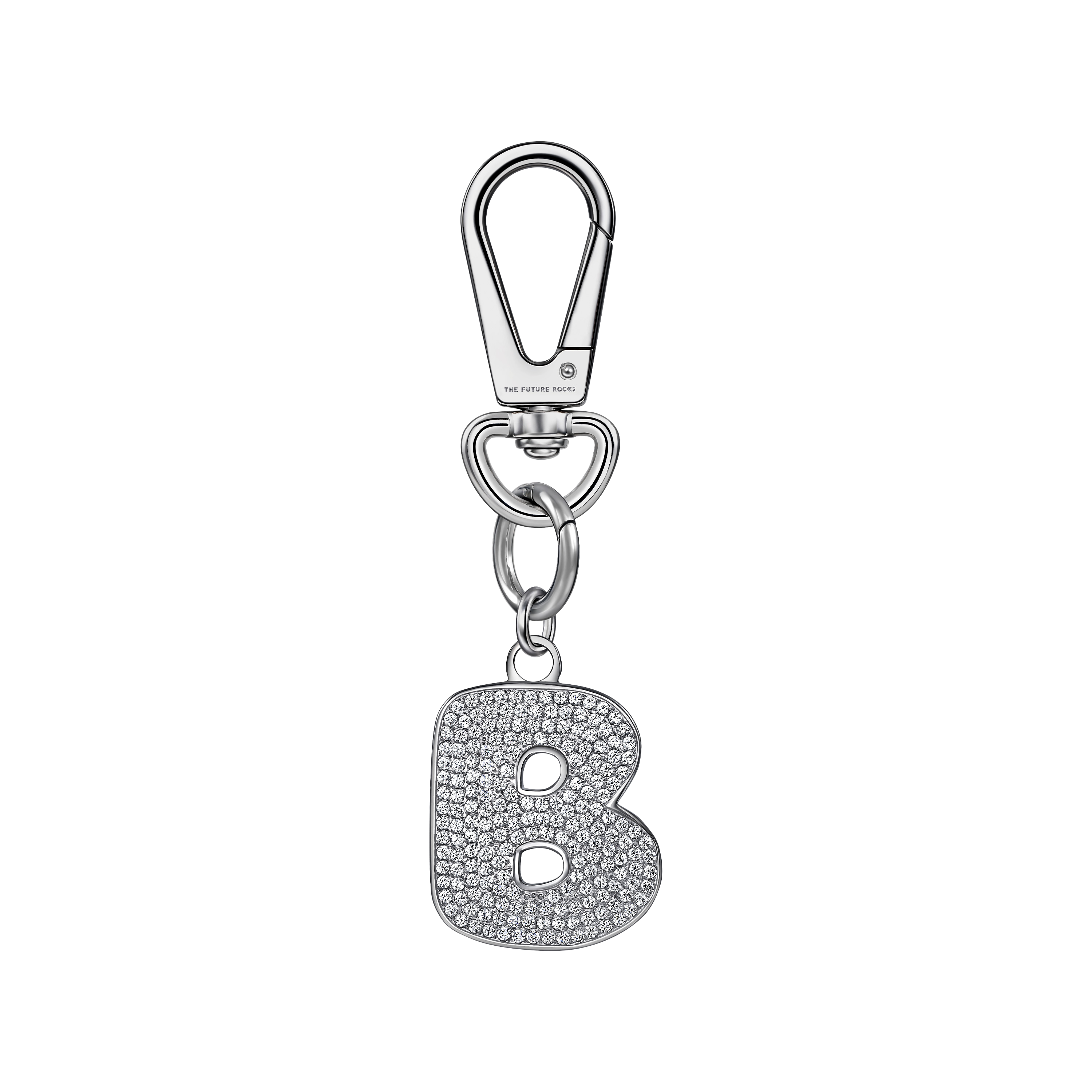 Pet charm - Pet Charm - The Future Rocks - 13
