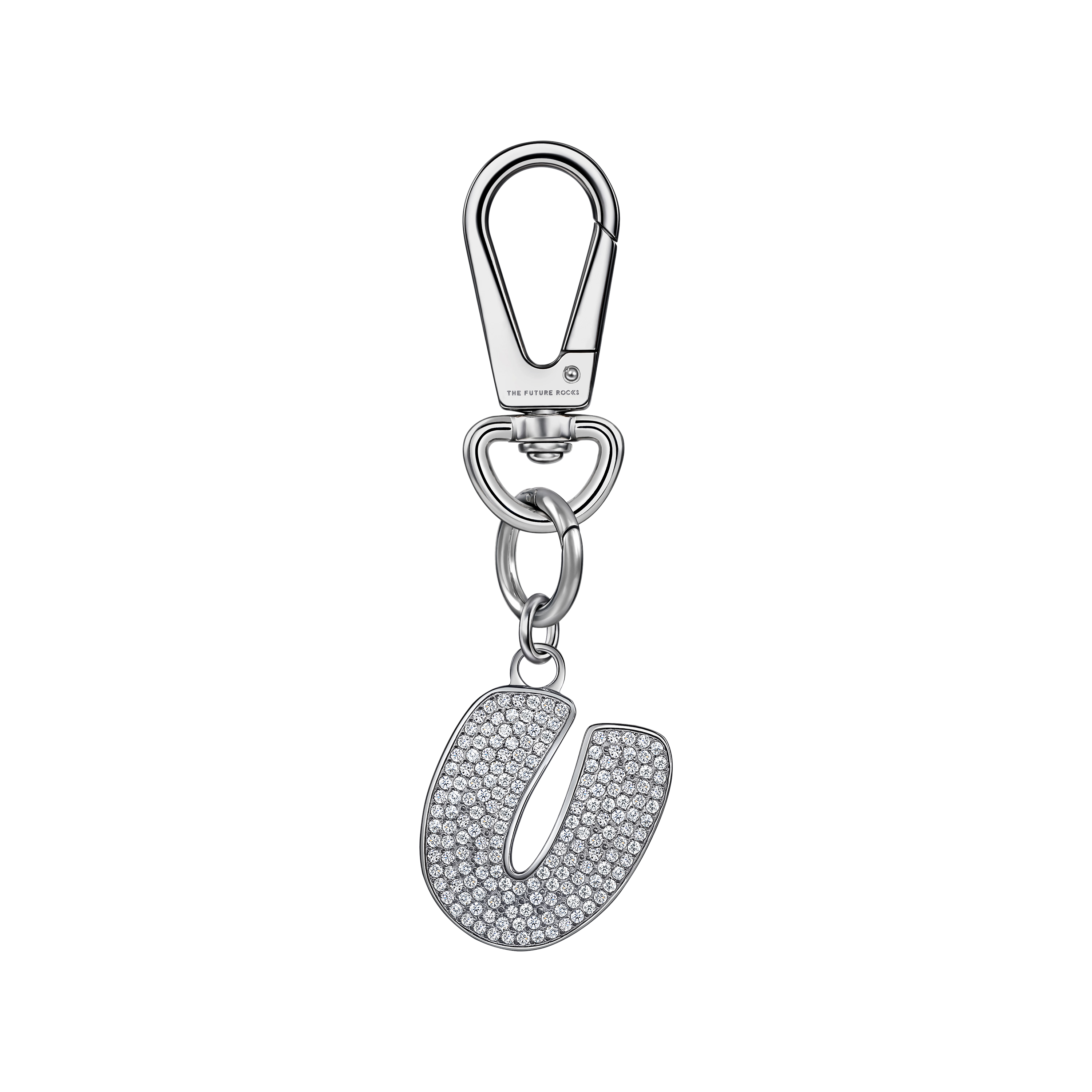 Pet charm