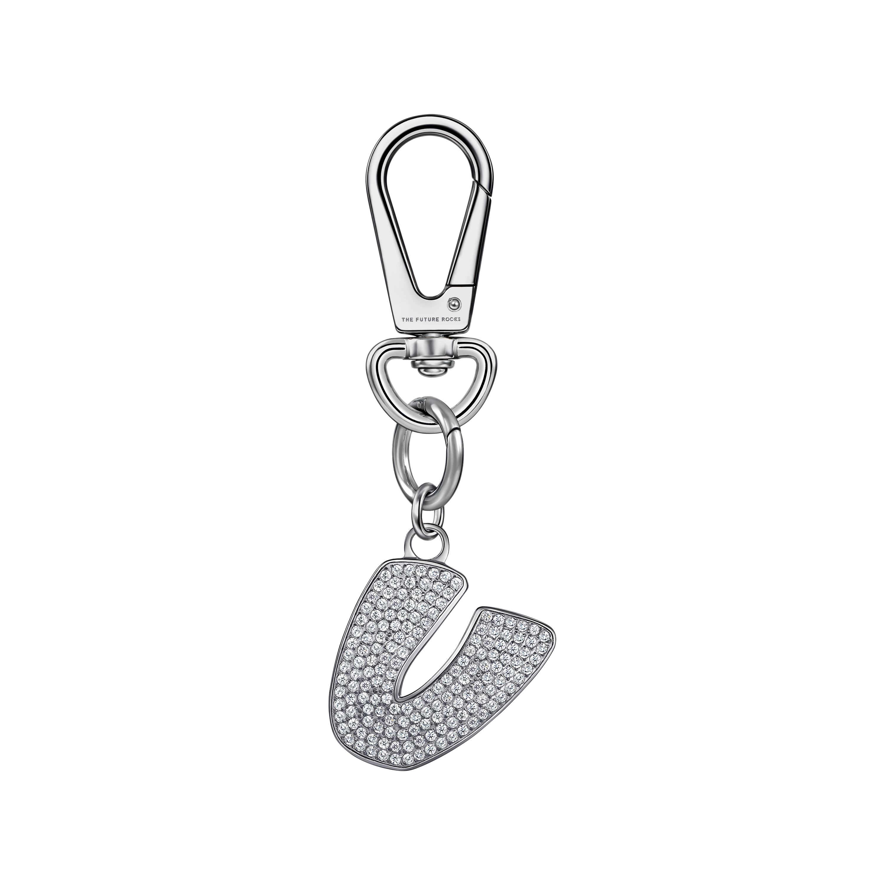 Pet charm
