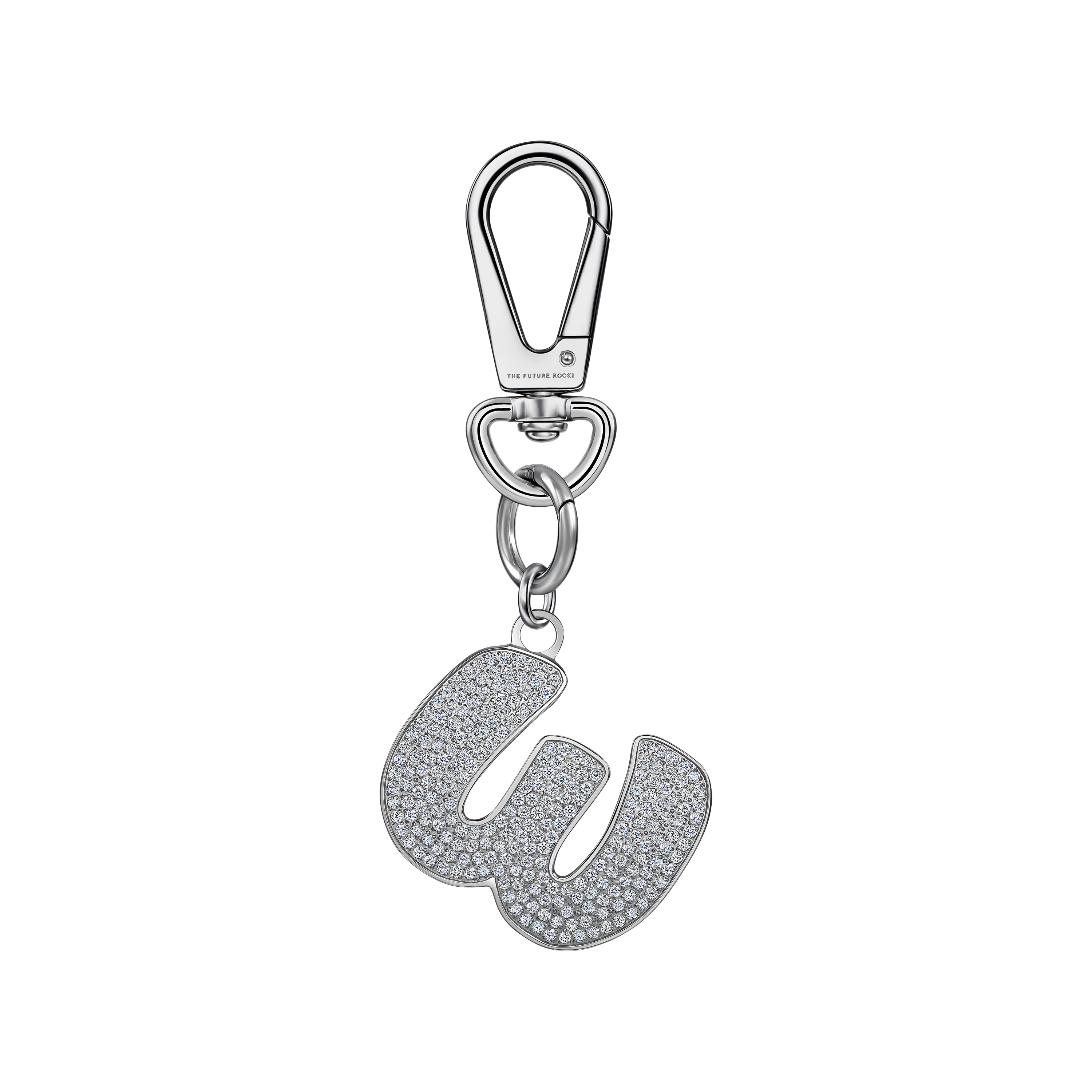 Pet charm