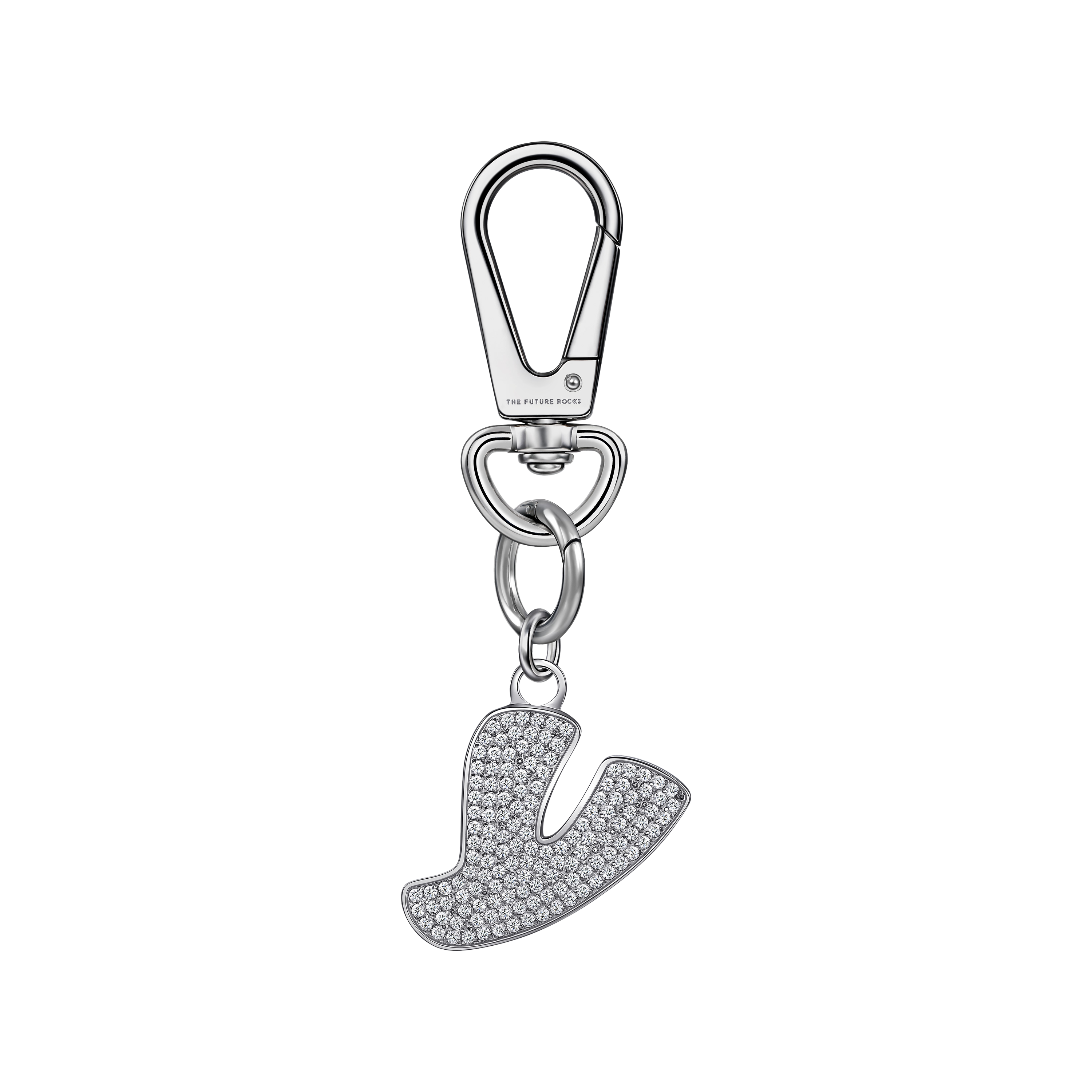 Pet charm