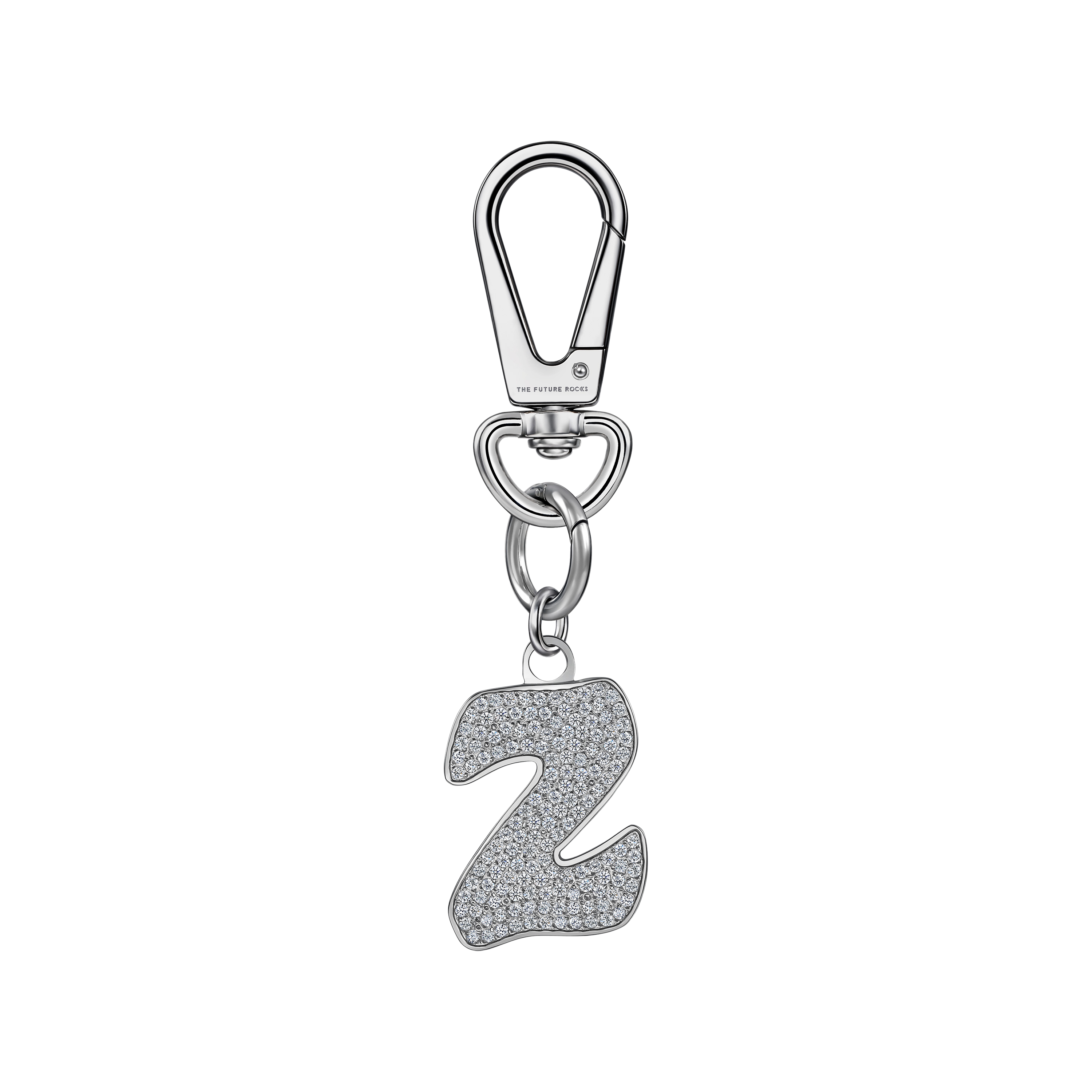 Pet charm