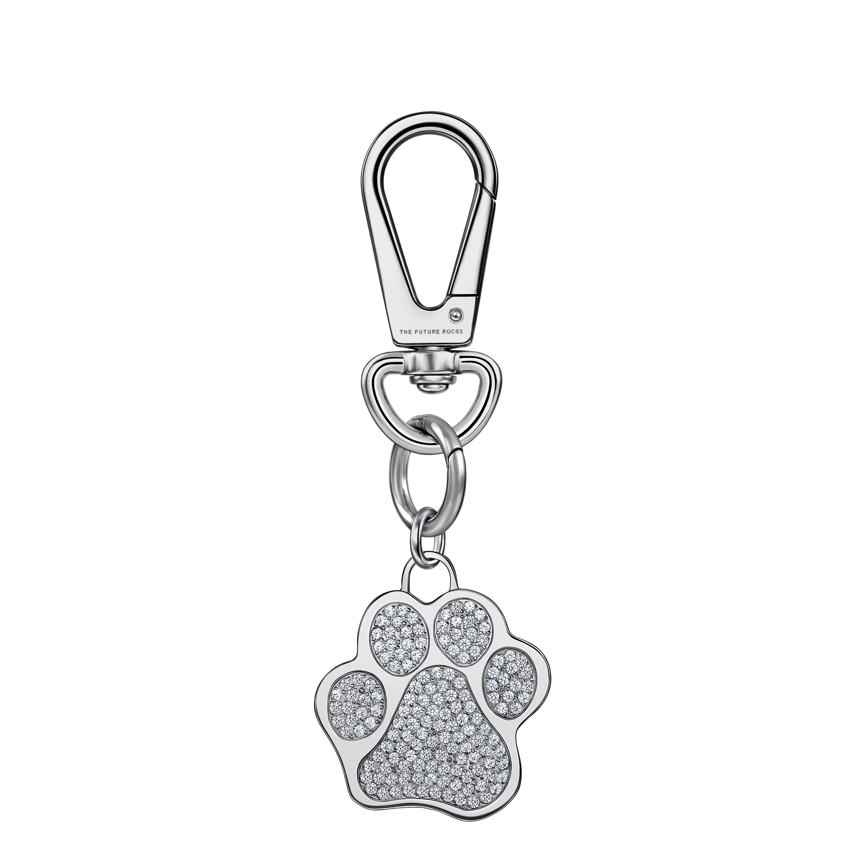Pet charm - Pet charm - The Future Rocks - 7