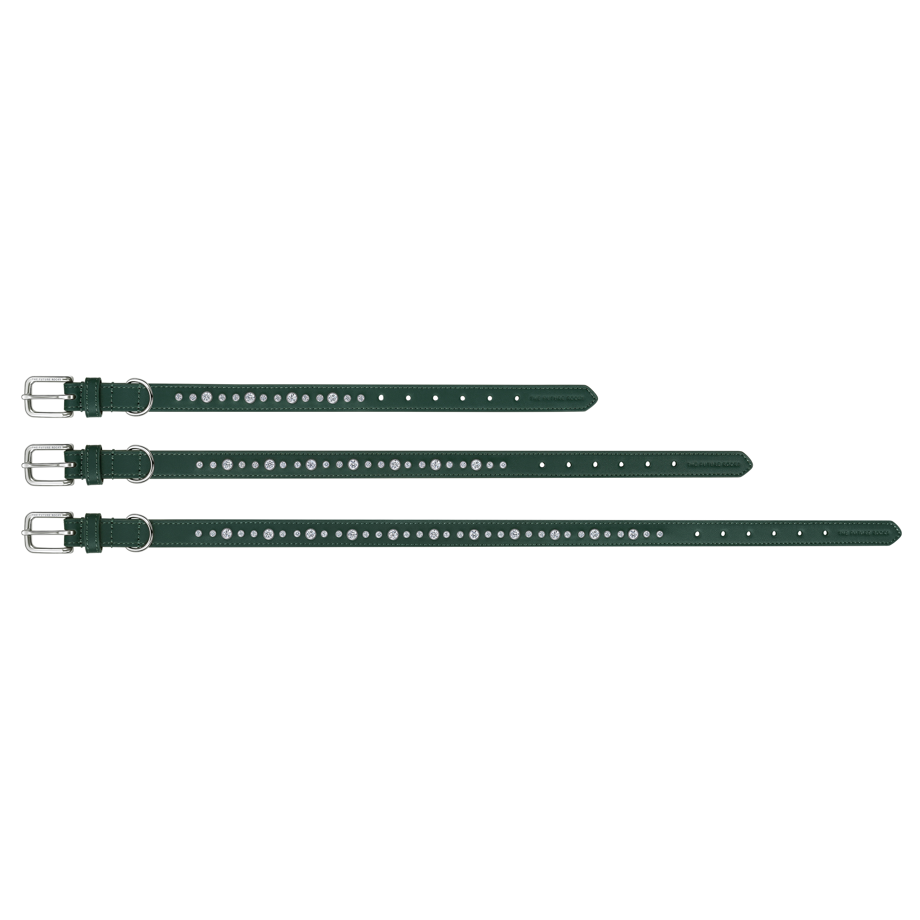 Green pet collar and leash bundle