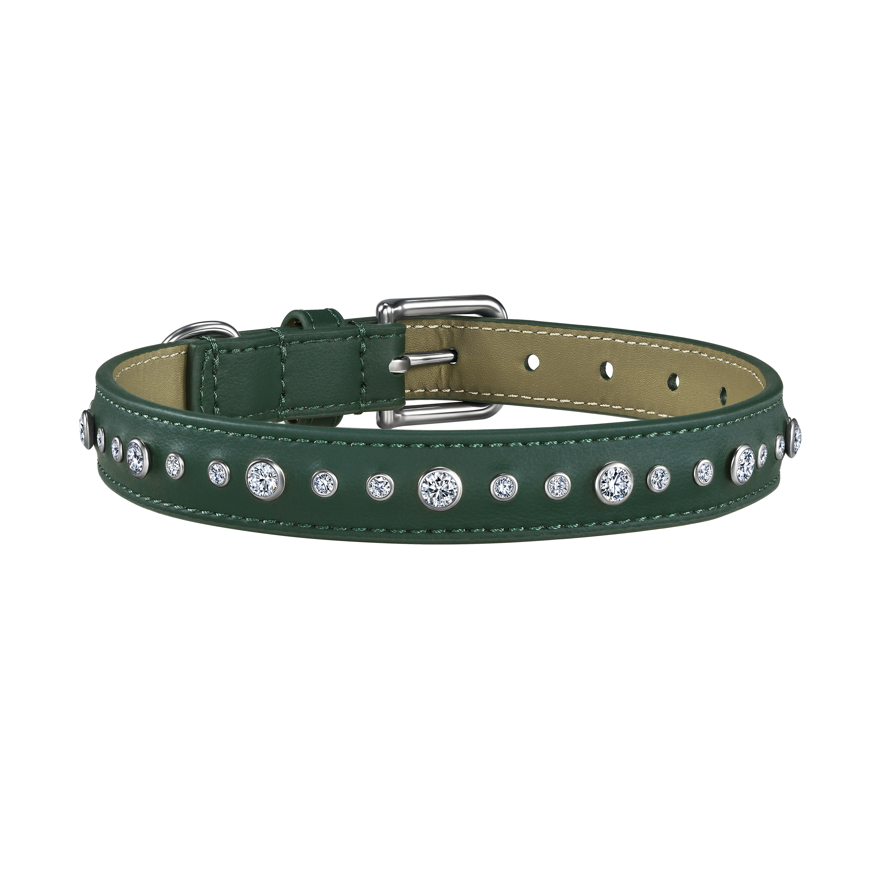 Green pet collar, leash and 1 charm bundle