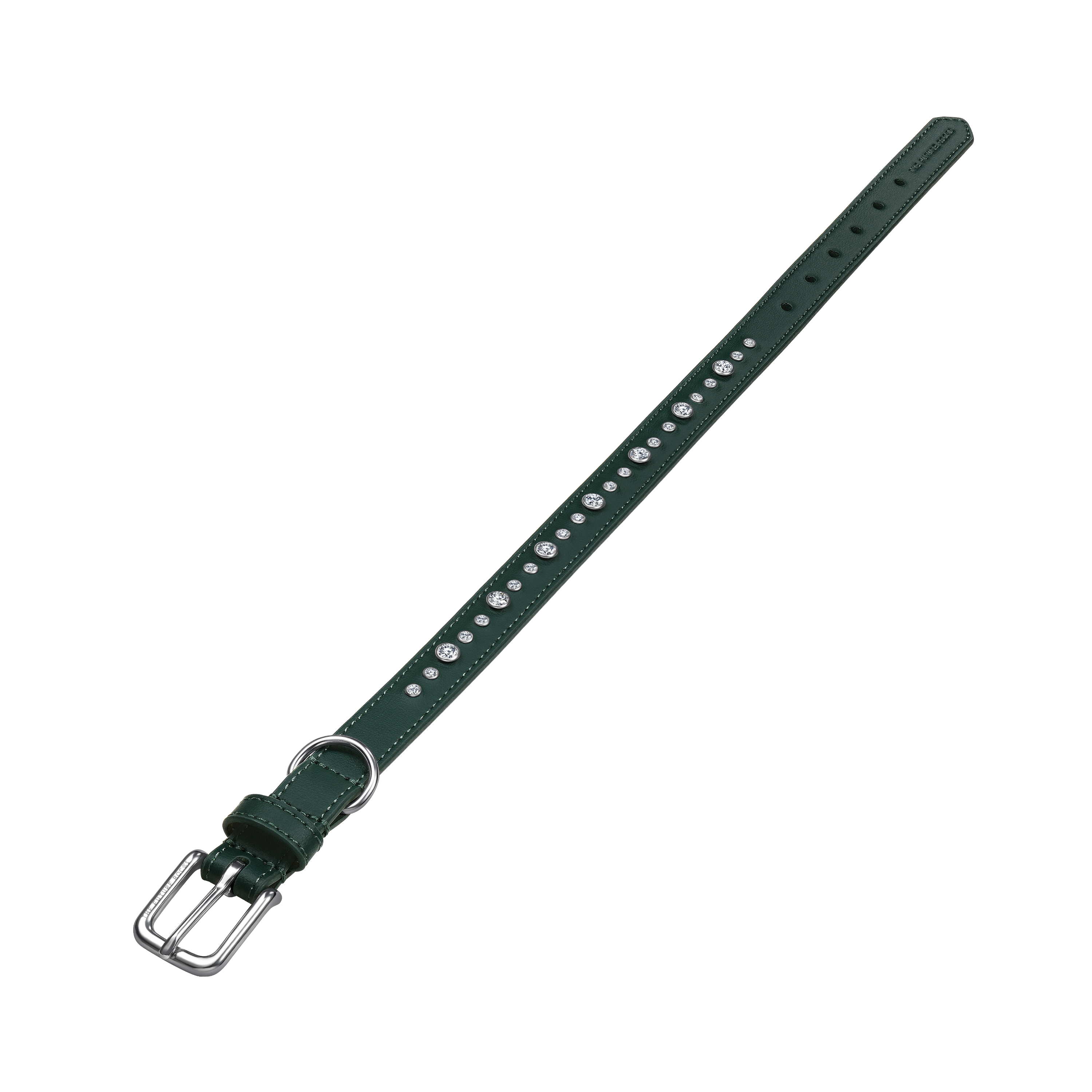 Green pet collar and leash bundle