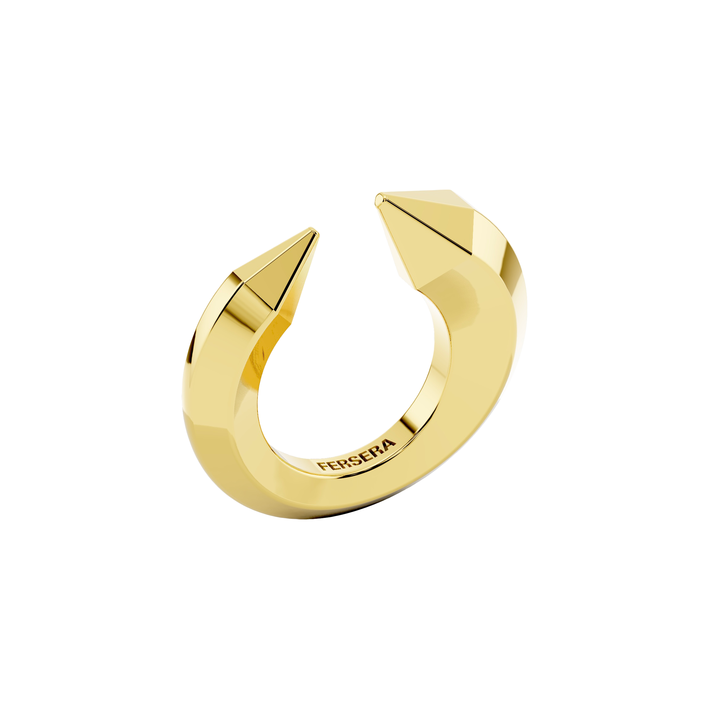 The sculptor's ring - The Sculptor's Ring - The Future Rocks - 5