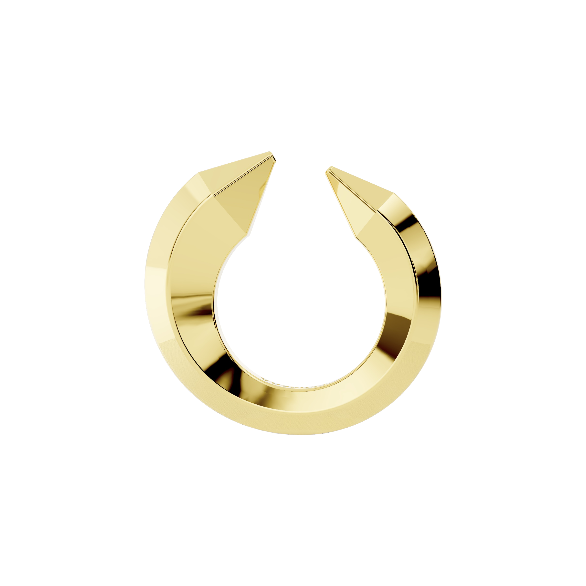 The sculptor's ring - The Sculptor's Ring - The Future Rocks - 1