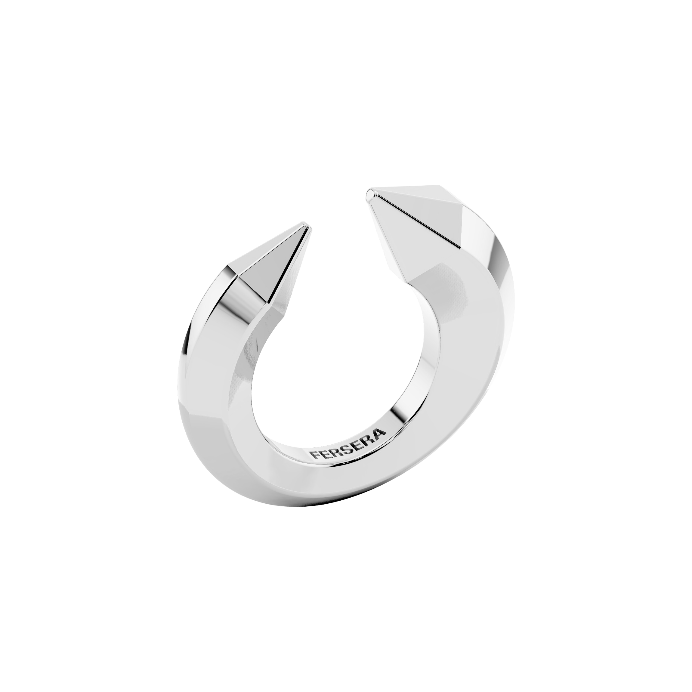 The sculptor's ring - The sculptor's ring - The Future Rocks - 6