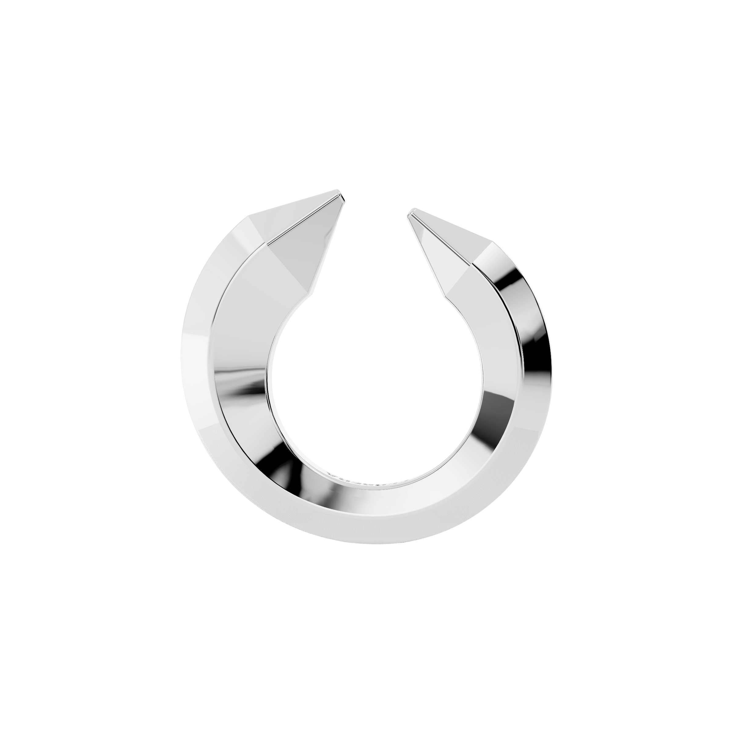 The sculptor's ring - The Sculptor's Ring - The Future Rocks - 3