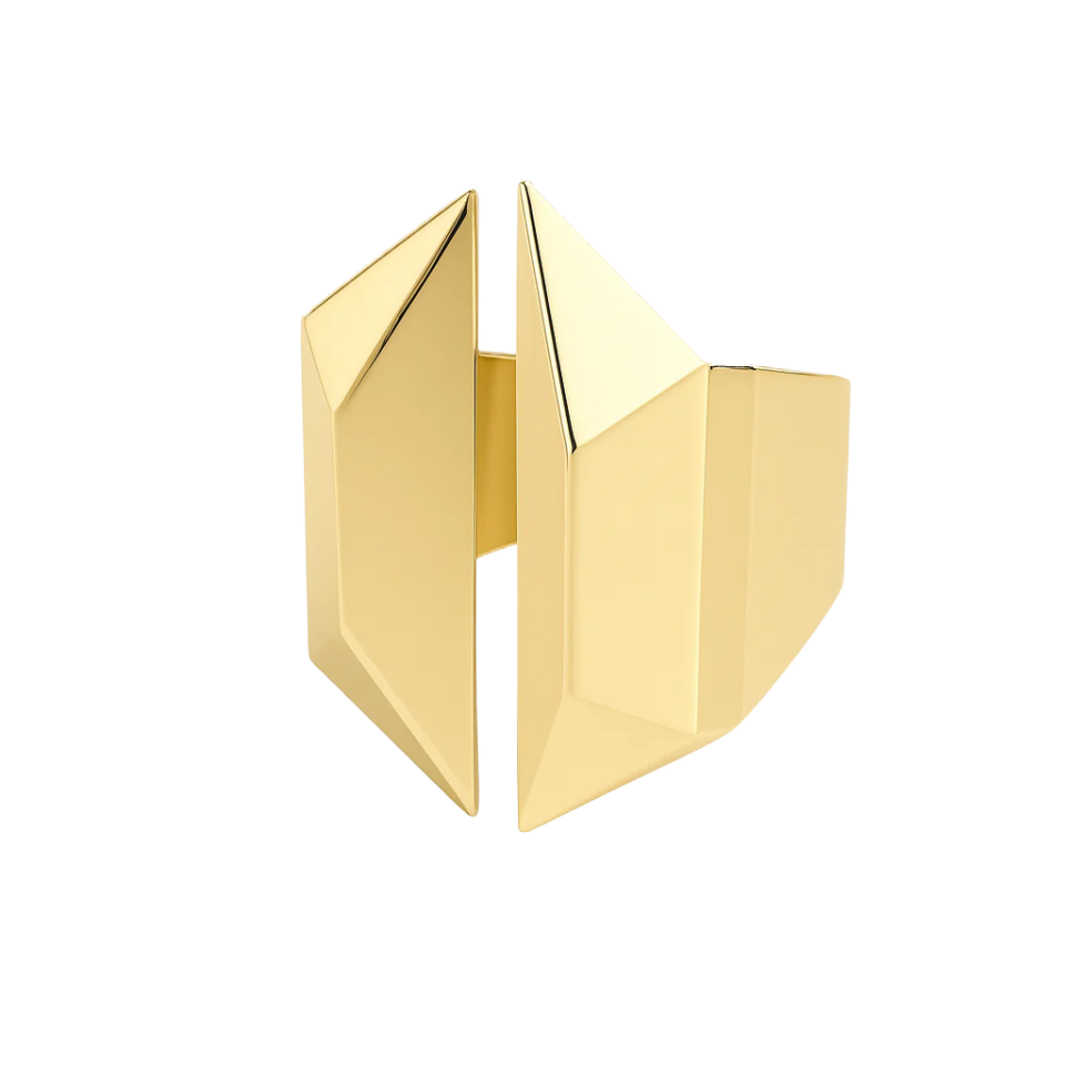 The Sculptor's Shield ring - The Sculptor's Shield ring - The Future Rocks - 1