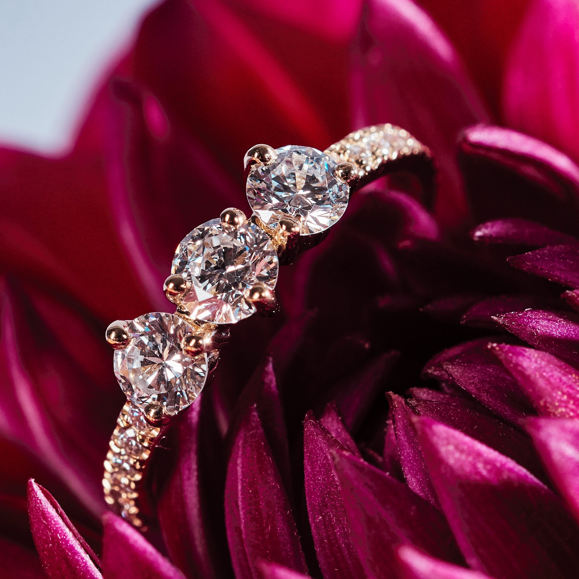 Les absolu.e.s encore plus solitaire ring - Les Absolu.e.s Encore Plus Solitaire Ring - The Future Rocks - 2