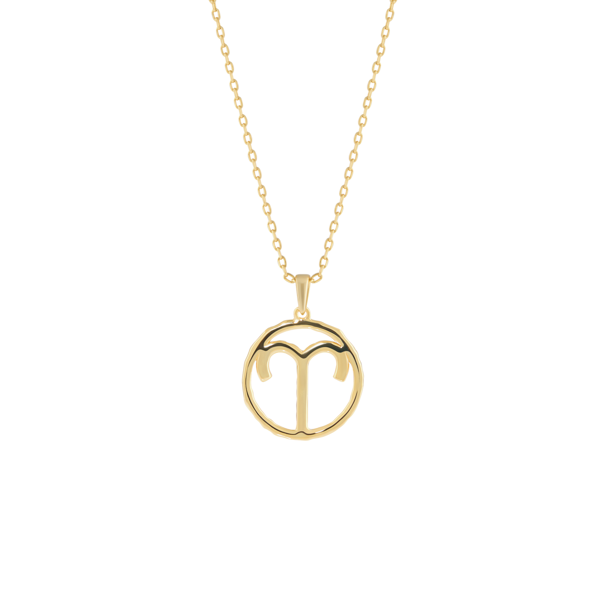 Aries medallion pendant necklace - Aries Zodiac Pendant Necklace - The Future Rocks - 4
