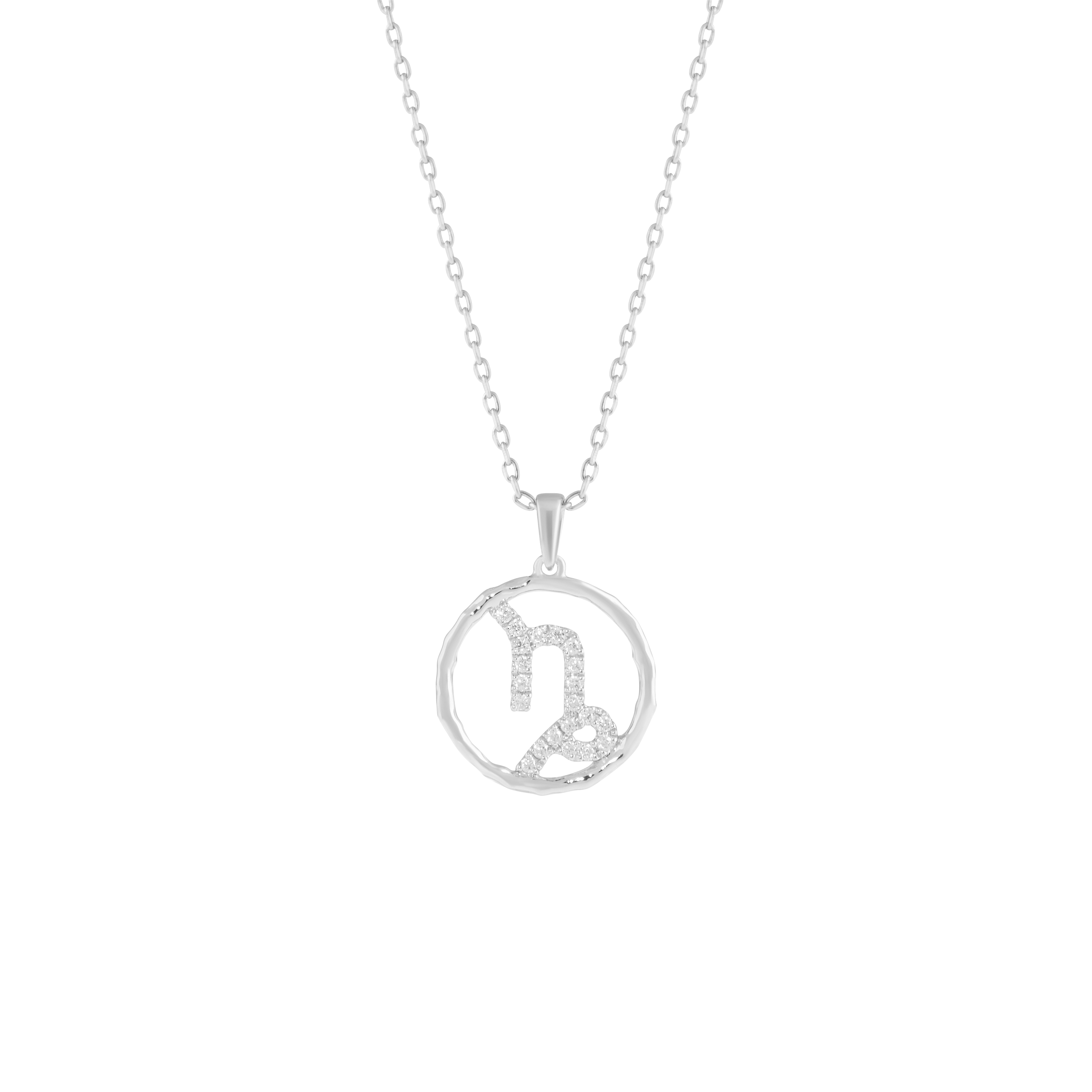 Capricorn medallion pendant necklace - Capricorn medallion pendant necklace - The Future Rocks - 3