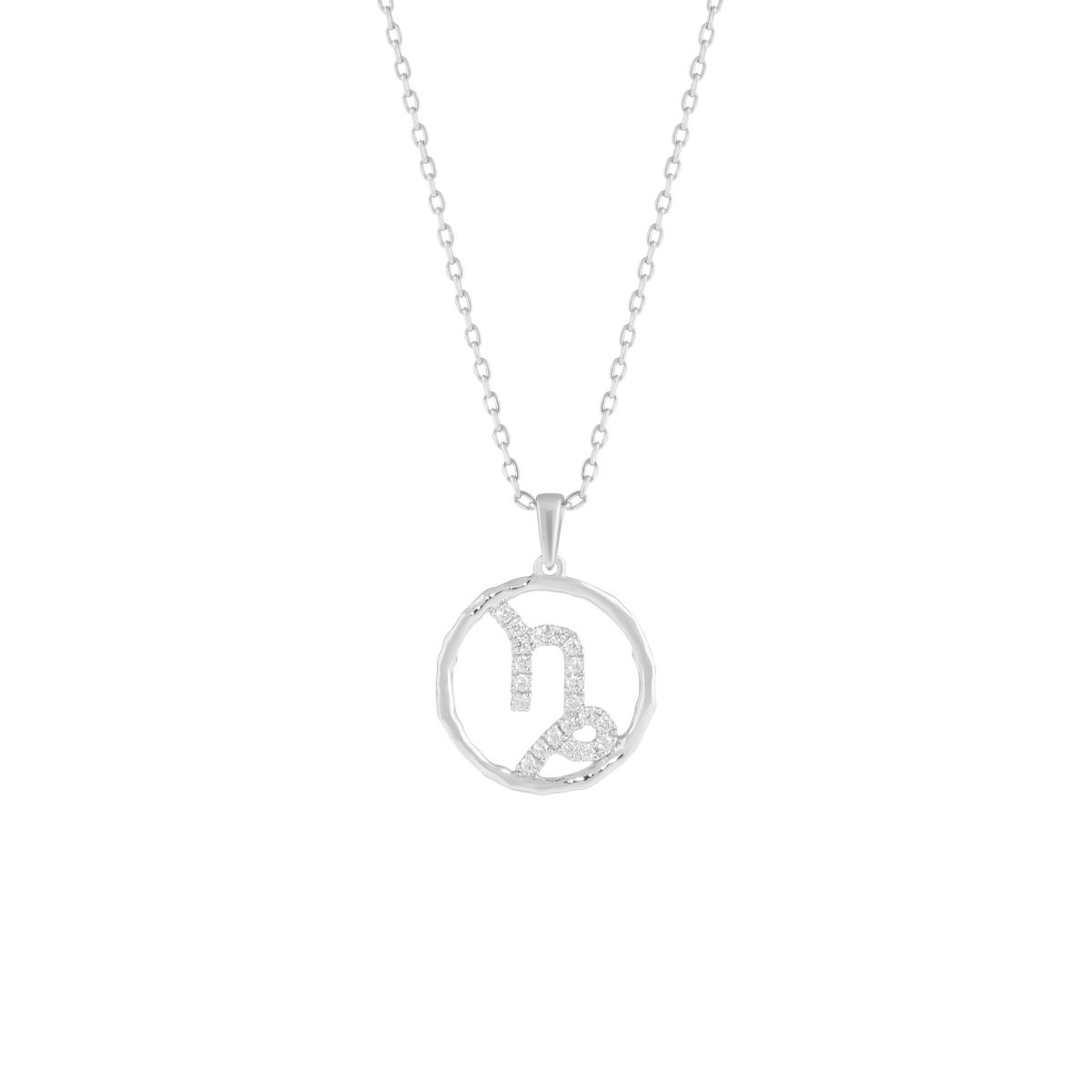 Capricorn medallion pendant necklace - Capricorn Zodiac Pendant Necklace - The Future Rocks - 3