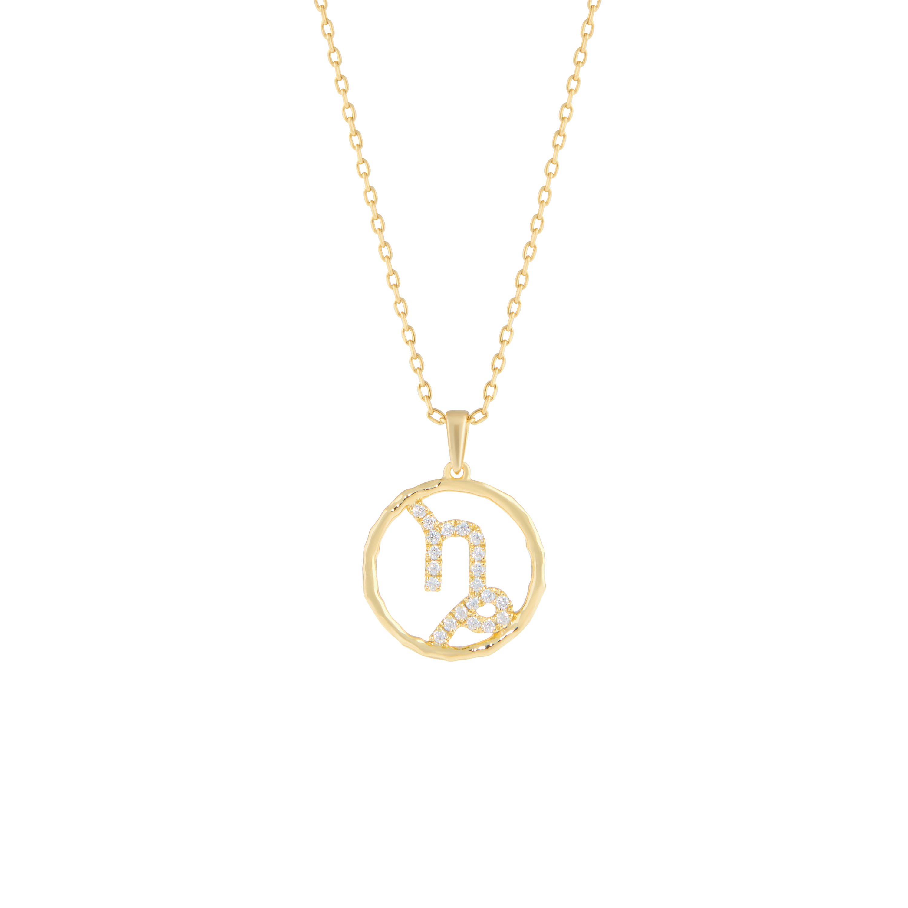 Capricorn medallion pendant necklace - Capricorn medallion pendant necklace - The Future Rocks - 1