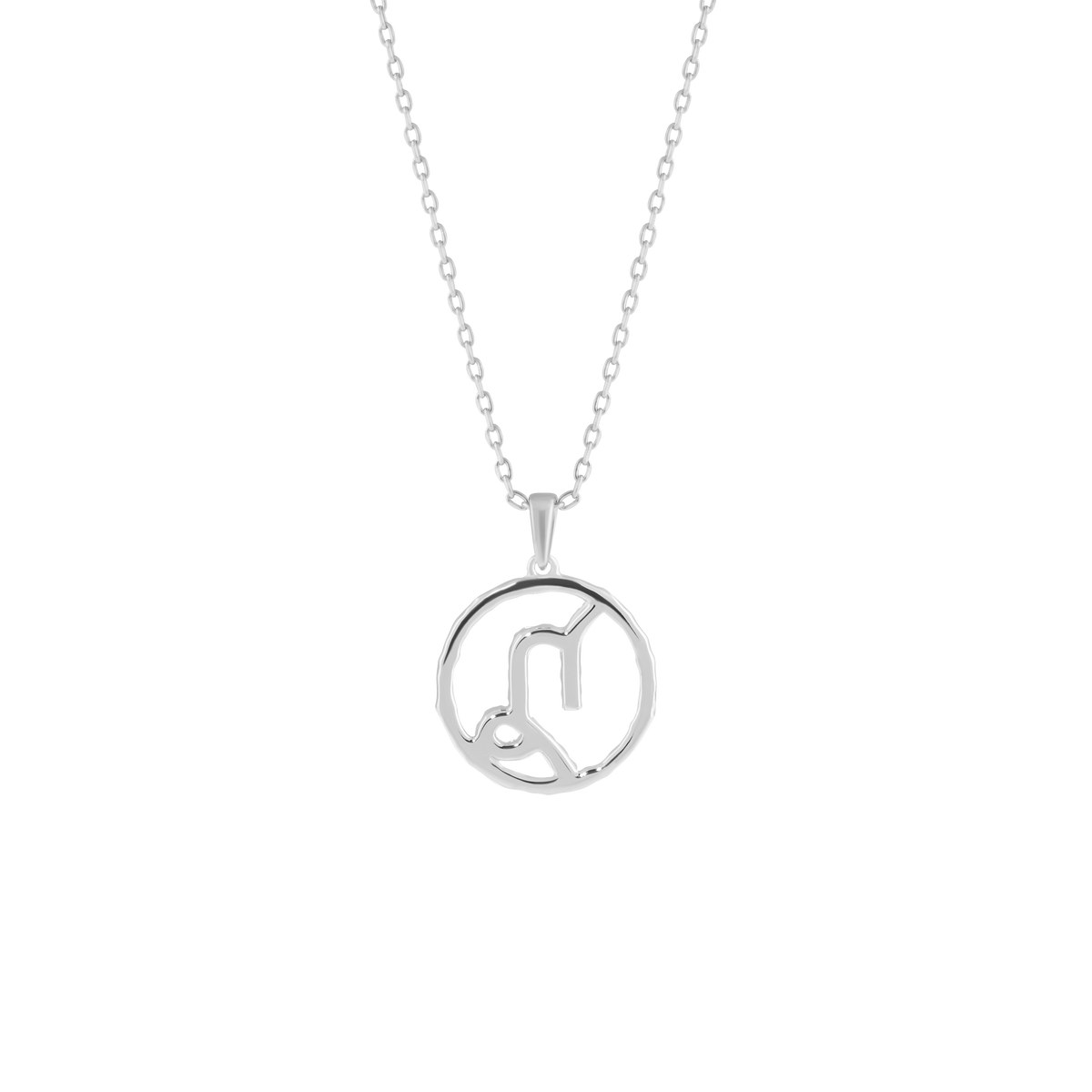 Capricorn medallion pendant necklace - Capricorn Zodiac Pendant Necklace - The Future Rocks - 5