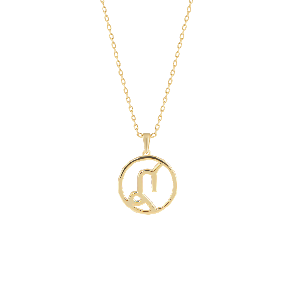 Capricorn medallion pendant necklace - Capricorn Zodiac Pendant Necklace - The Future Rocks - 4
