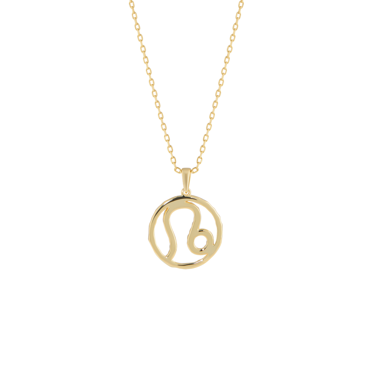 Leo medallion pendant necklace - Leo Zodiac Pendant Necklace - The Future Rocks - 4