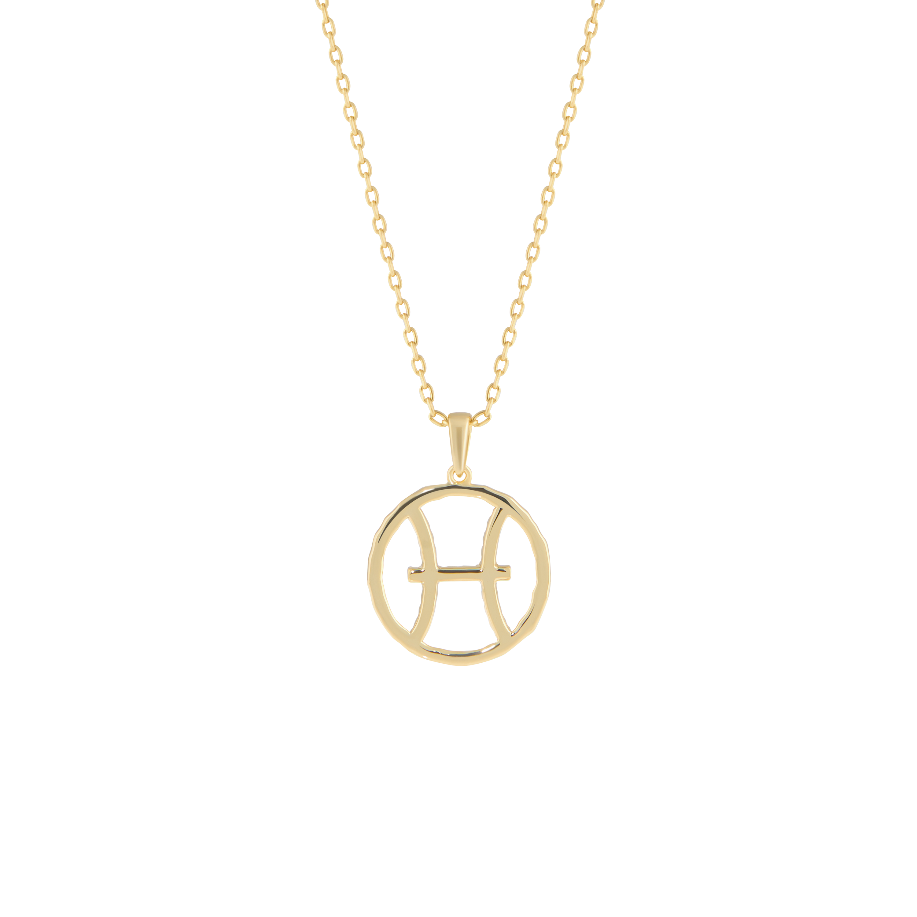 Pisces medallion pendant necklace - Pisces medallion pendant necklace - The Future Rocks - 4