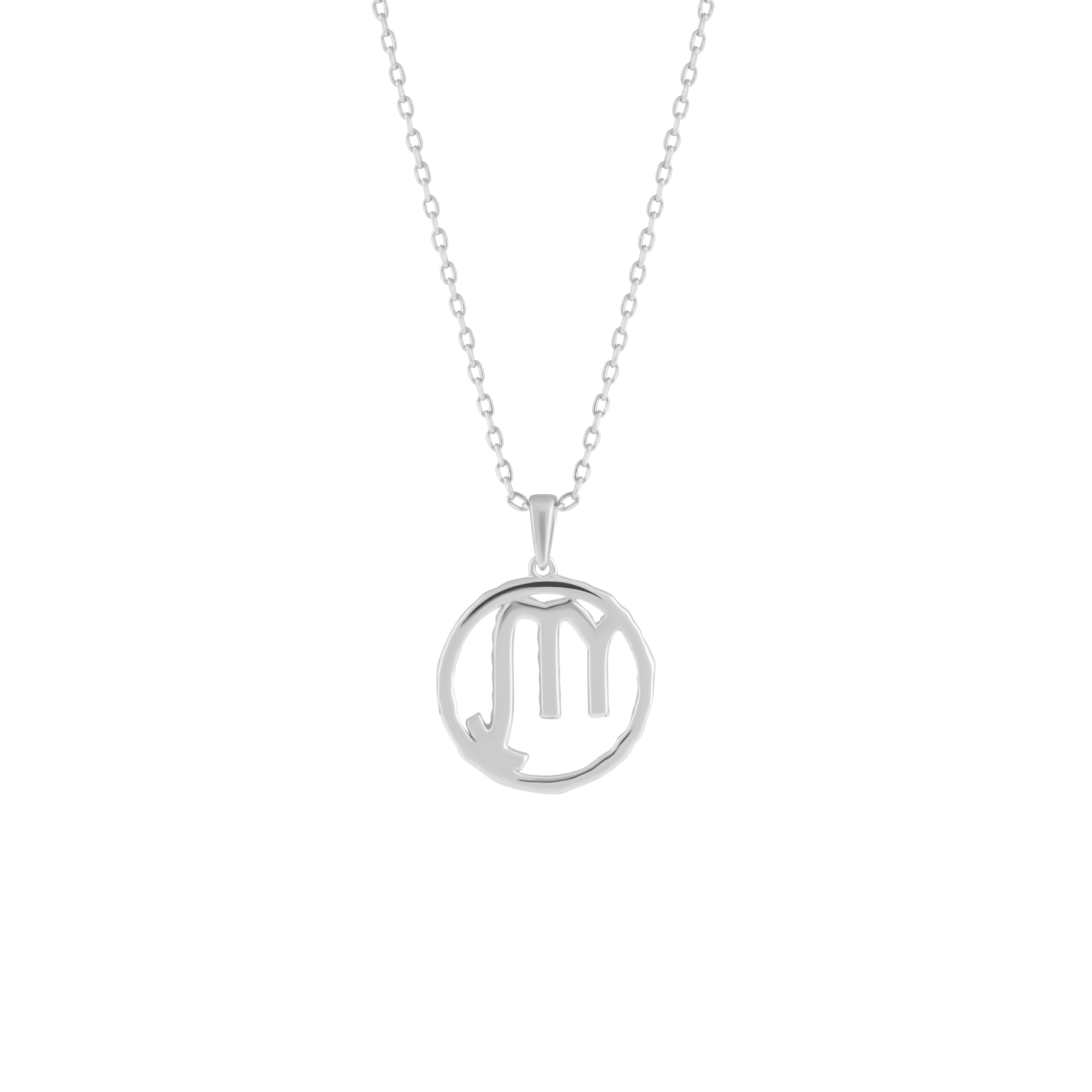 Scorpio medallion pendant necklace - Scorpio Zodiac Pendant Necklace - The Future Rocks - 5