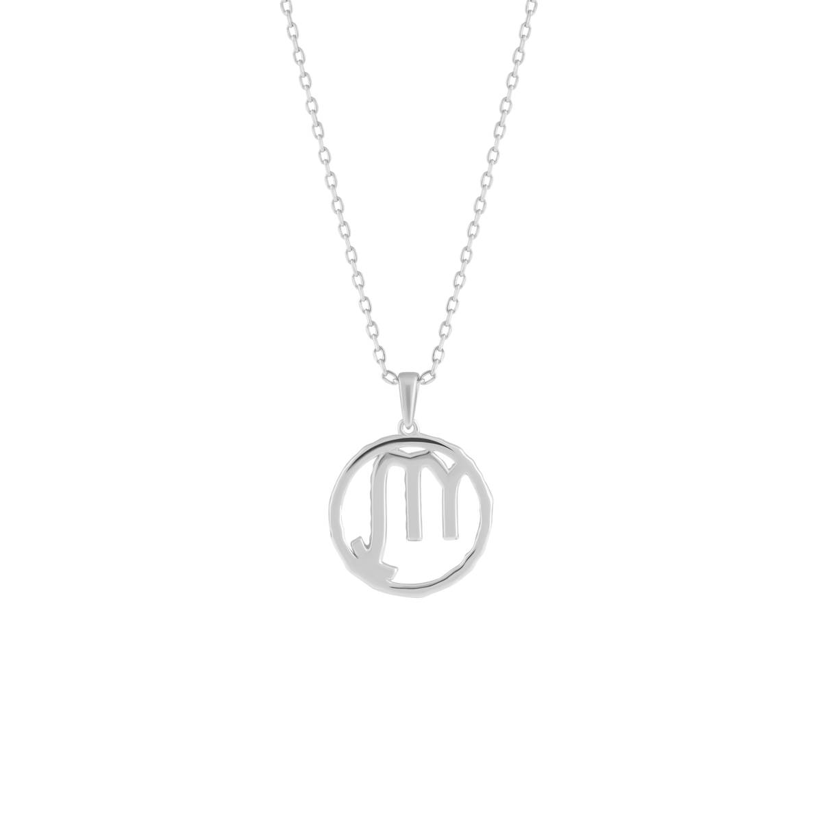 Scorpio medallion pendant necklace - Scorpio Zodiac Pendant Necklace - The Future Rocks - 5