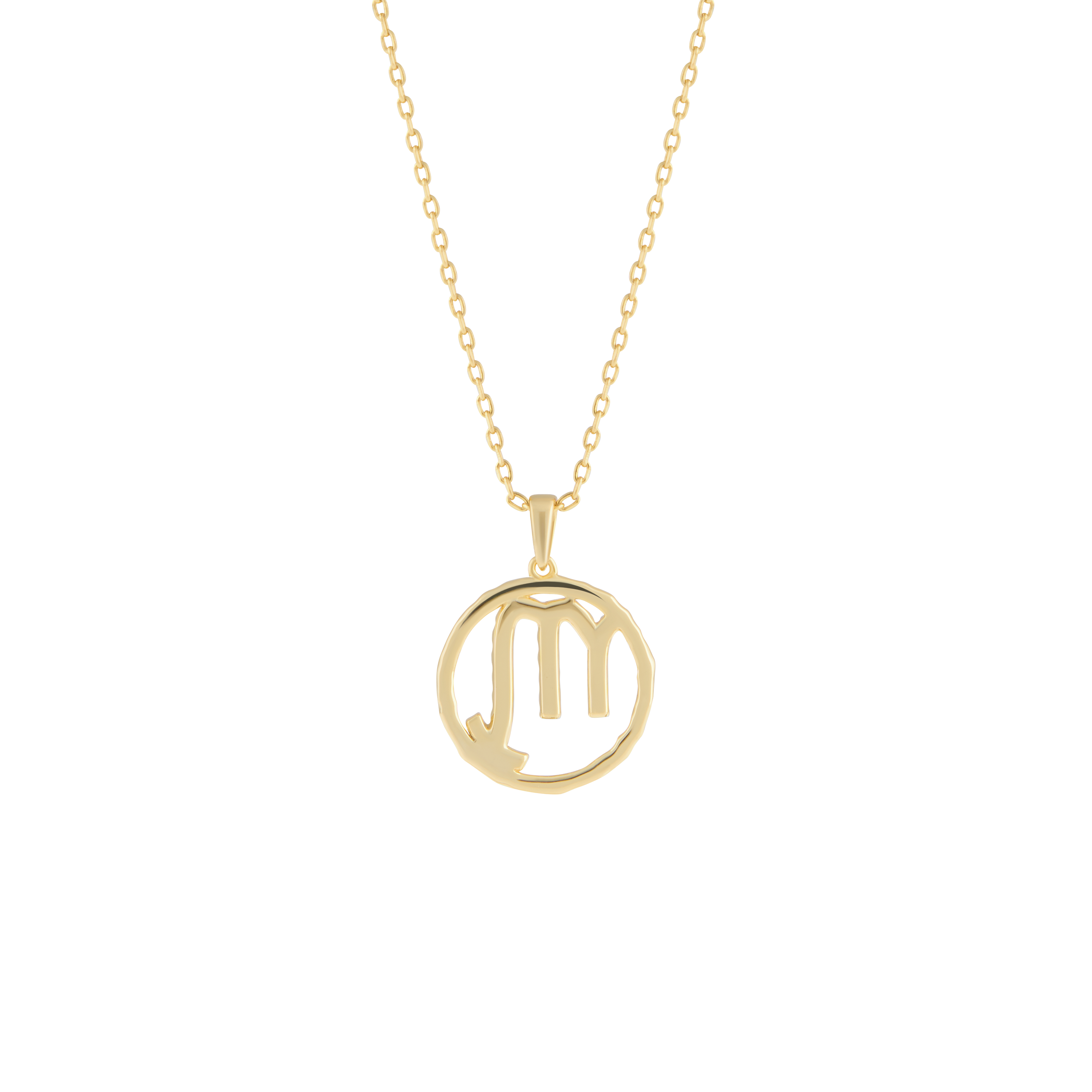Scorpio medallion pendant necklace - Scorpio Zodiac Pendant Necklace - The Future Rocks - 4