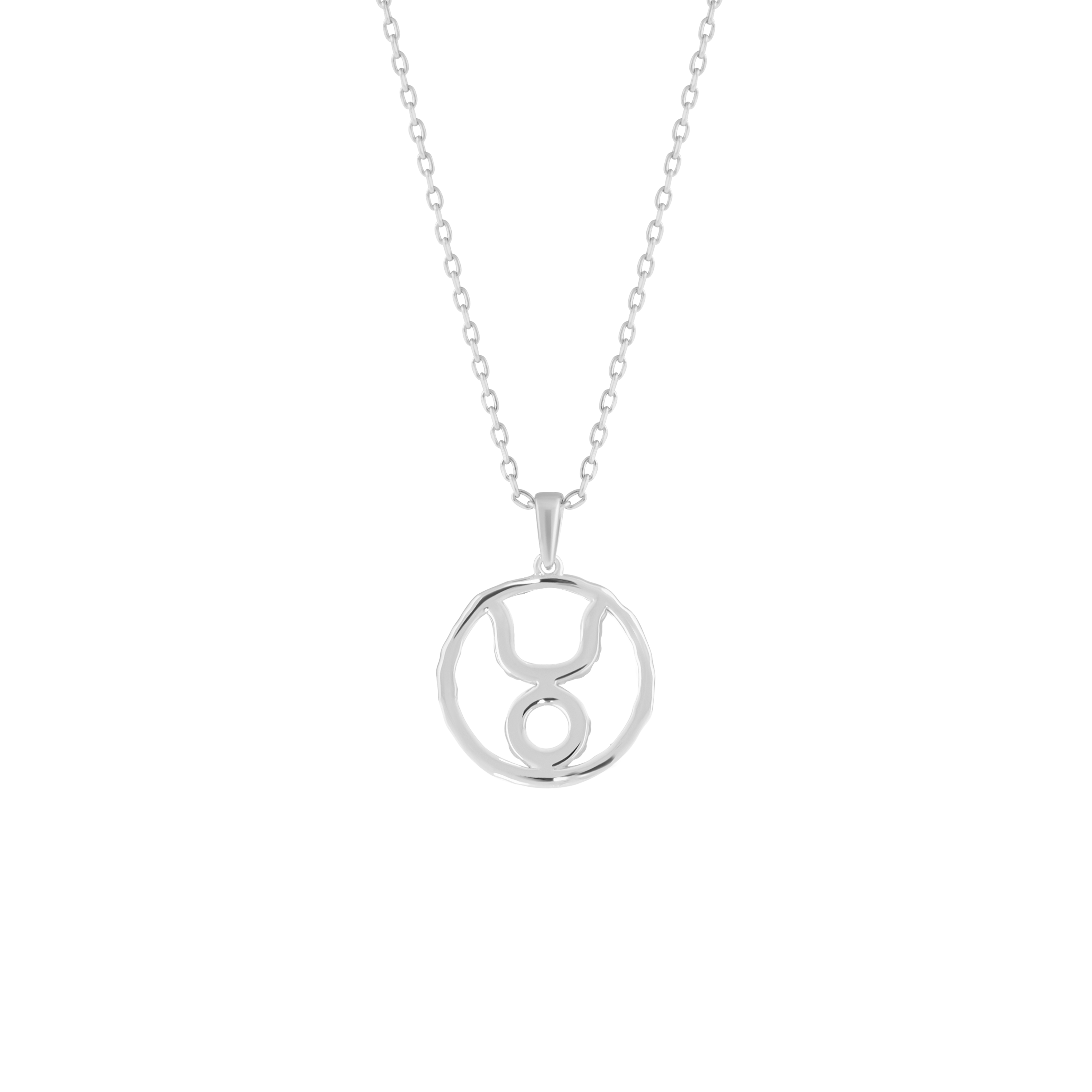 Taurus medallion pendant necklace - Taurus medallion pendant necklace - The Future Rocks - 5