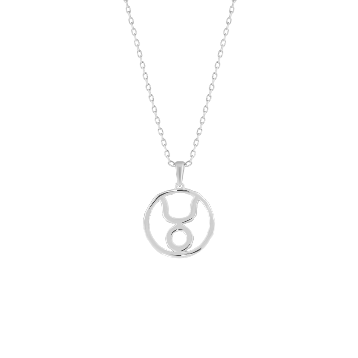 Taurus medallion pendant necklace - Taurus Zodiac Pendant Necklace - The Future Rocks - 5