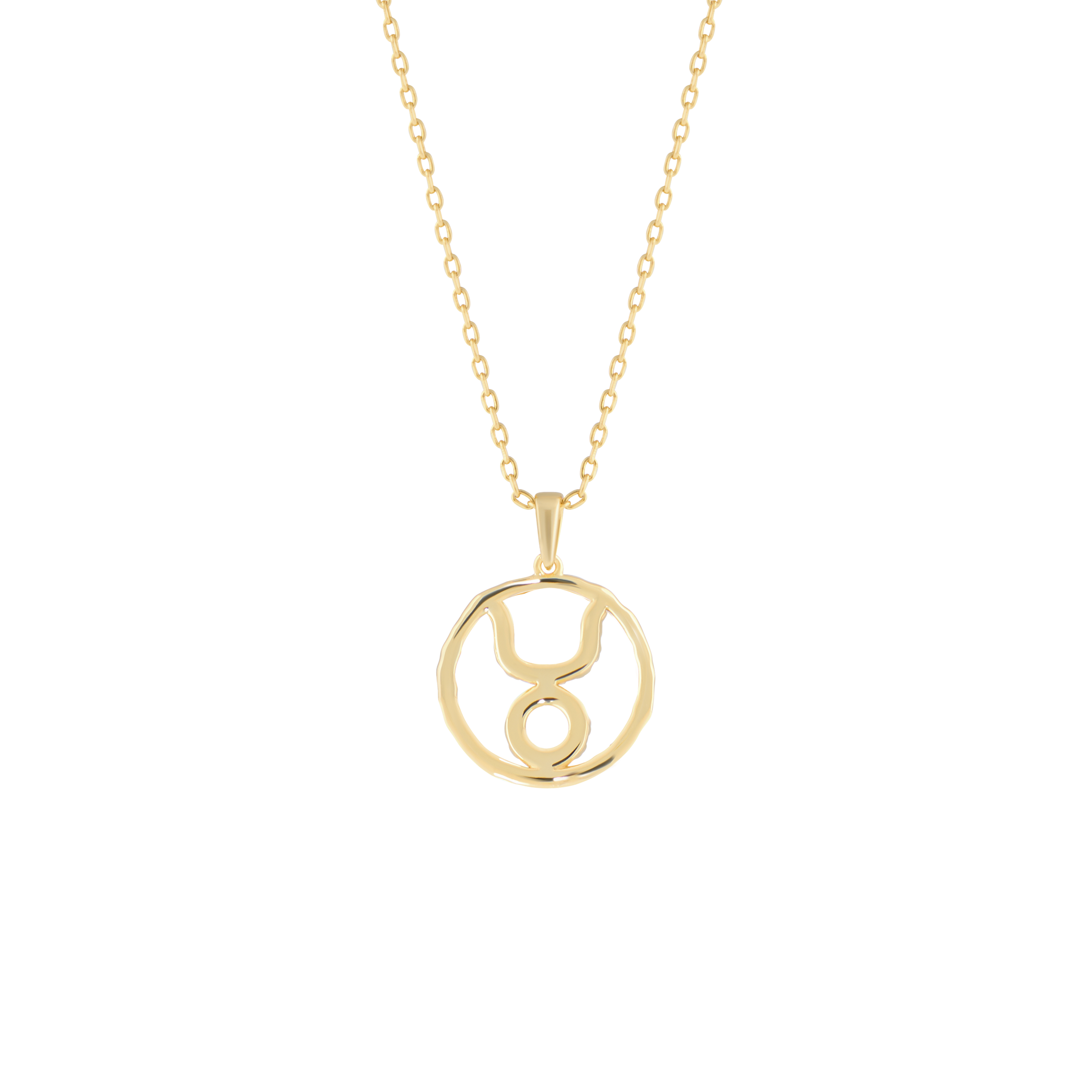 Taurus medallion pendant necklace - Taurus medallion pendant necklace - The Future Rocks - 4