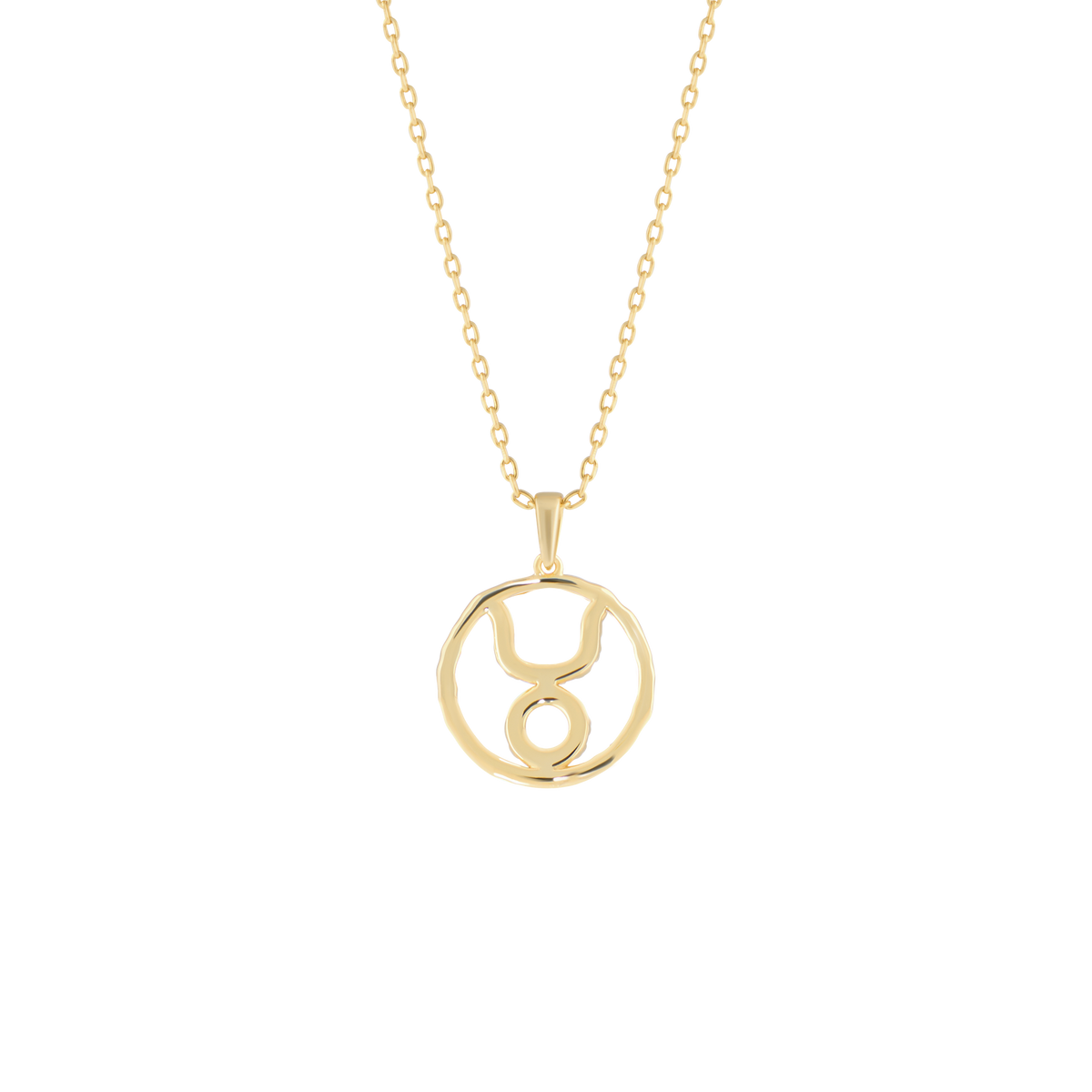 Taurus medallion pendant necklace - Taurus Zodiac Pendant Necklace - The Future Rocks - 4