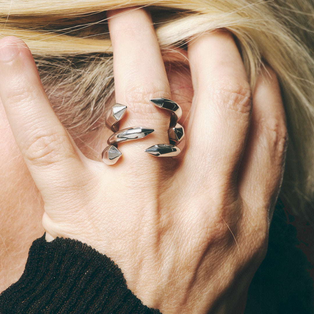 The sculptor's ring - The sculptor's ring - The Future Rocks - 2