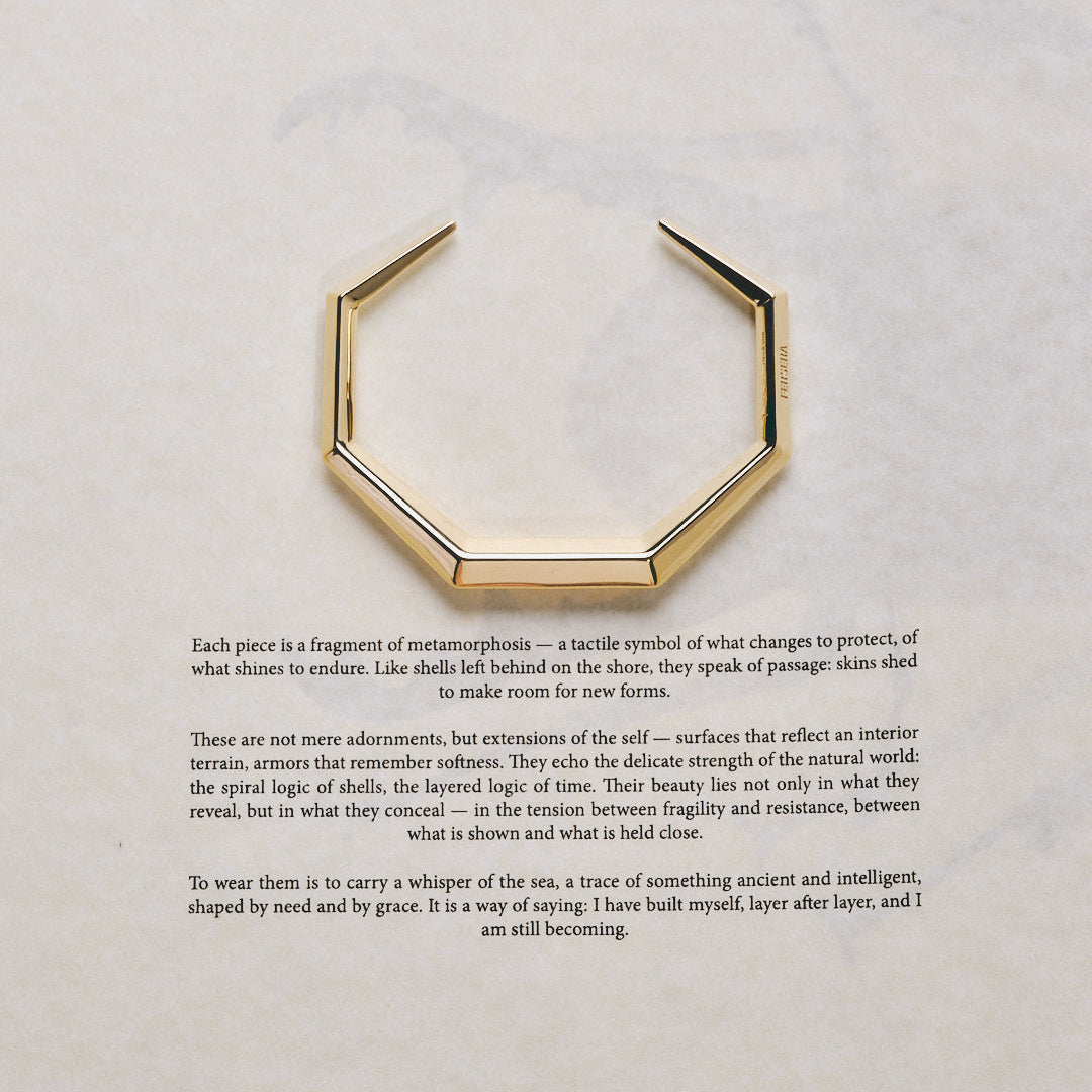 The sculptor's bangle - The Sculptor's Bangle - The Future Rocks - 8