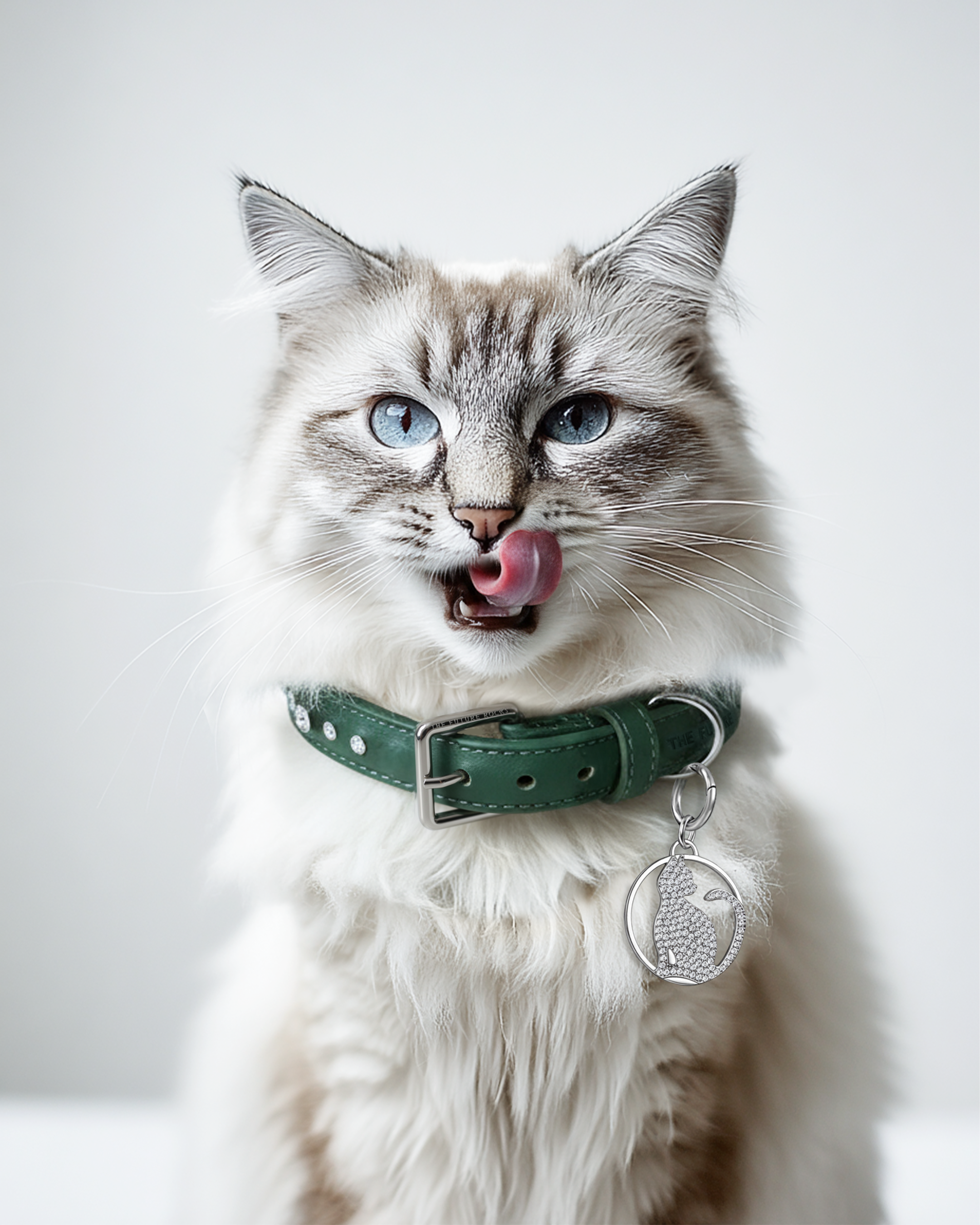 Green vegan leather collar with lab-grown sapphire - Green Vegan Leather Dog Collar - The Future Rocks - 4