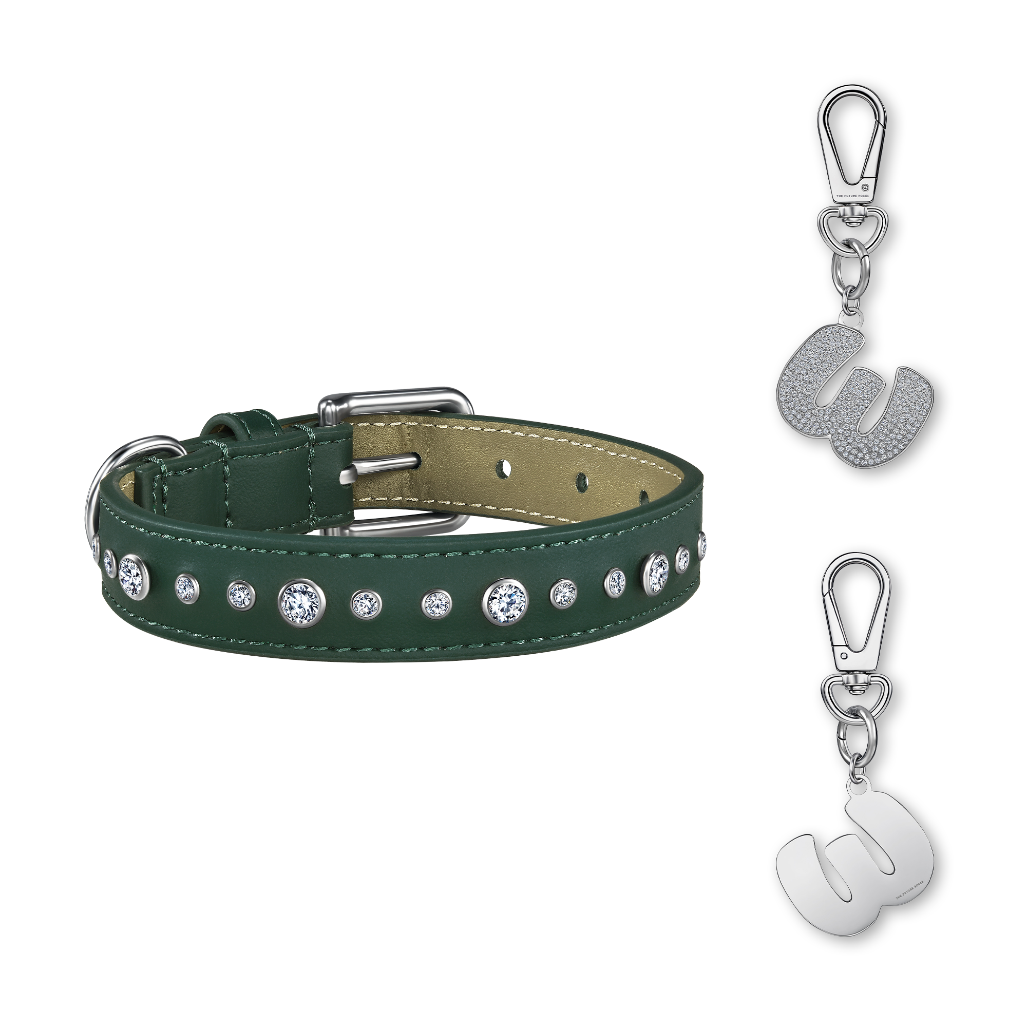 Green pet collar with 1 charm bundle