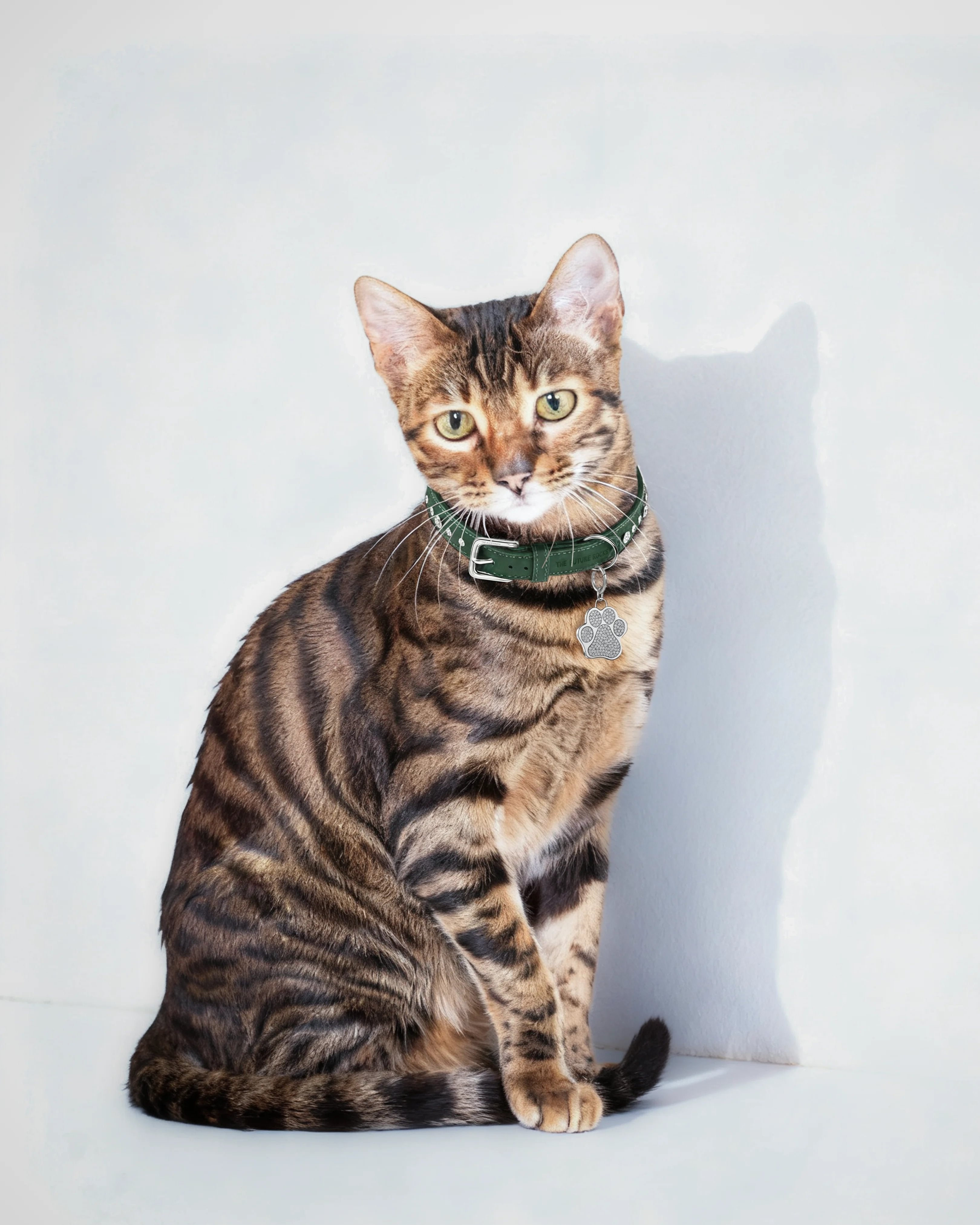 Green pet collar with 1 charm bundle