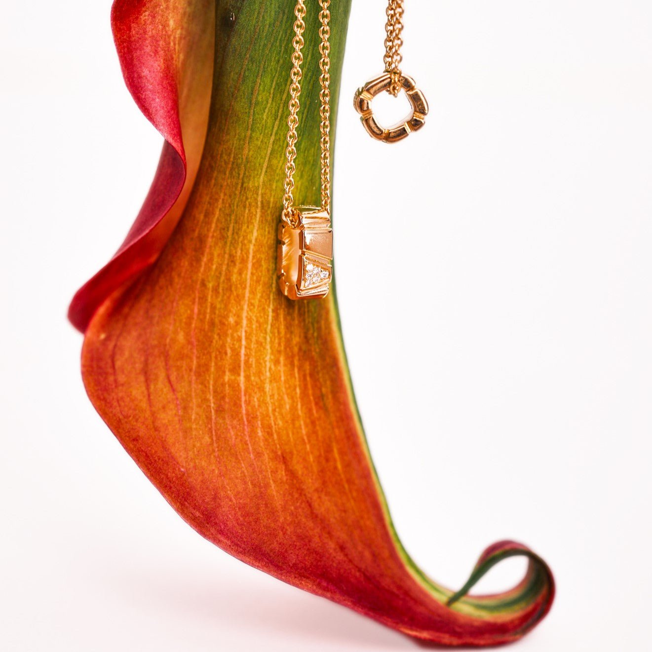 Ride+love semi-pavé small necklace - Ride & Love Semi-Pavé Small Necklace - The Future Rocks - 6