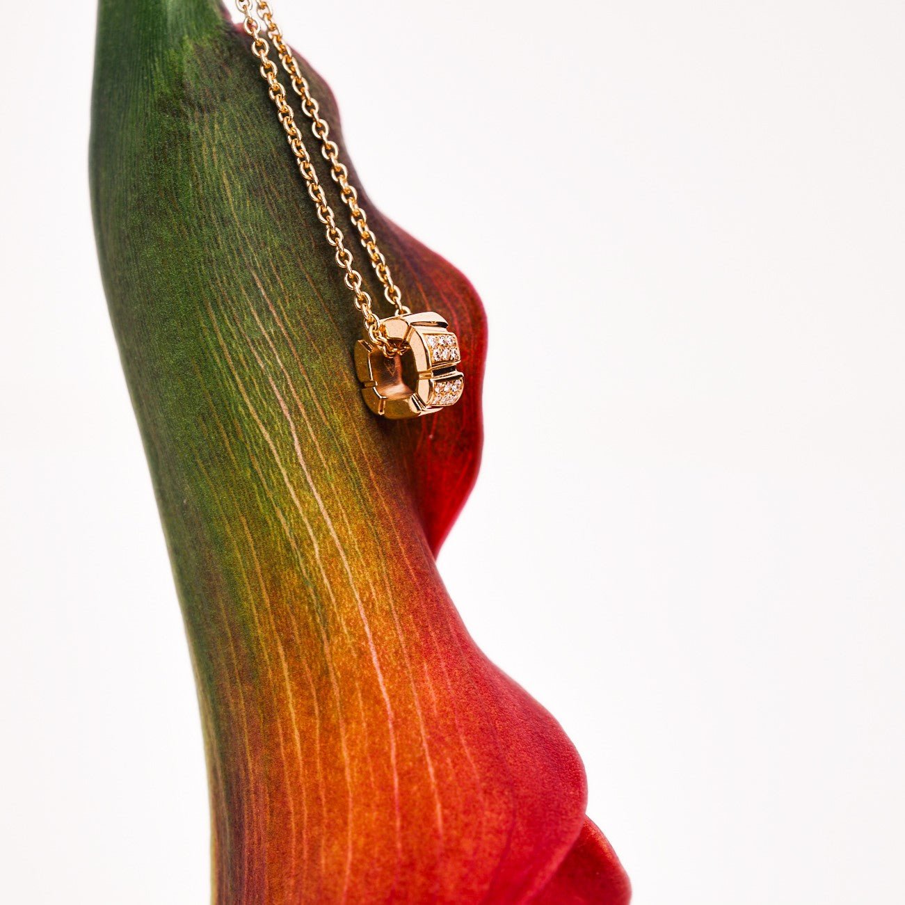 Ride+love semi-pavé small necklace - Ride & Love Semi-Pavé Small Necklace - The Future Rocks - 2