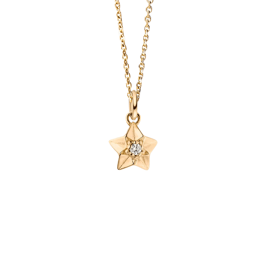 Stardust necklace - Stardust Necklace - The Future Rocks - 1