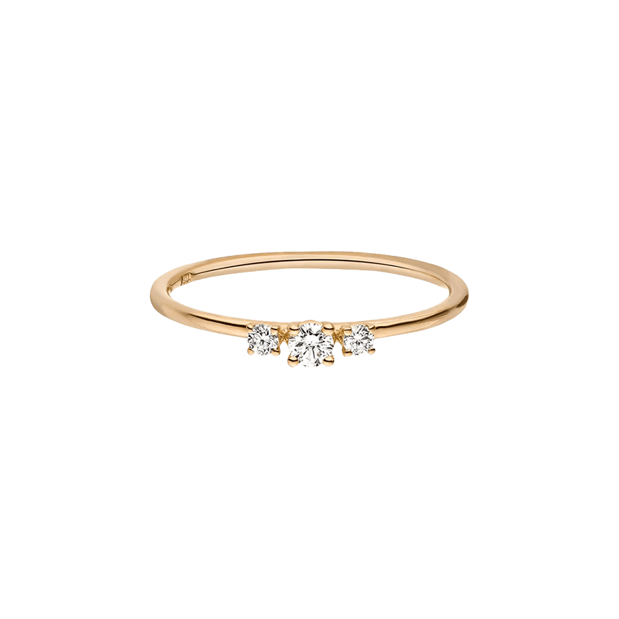Wilderness trilogie ring - Lab-Grown Diamond Trilogie Ring - The Future Rocks - 5