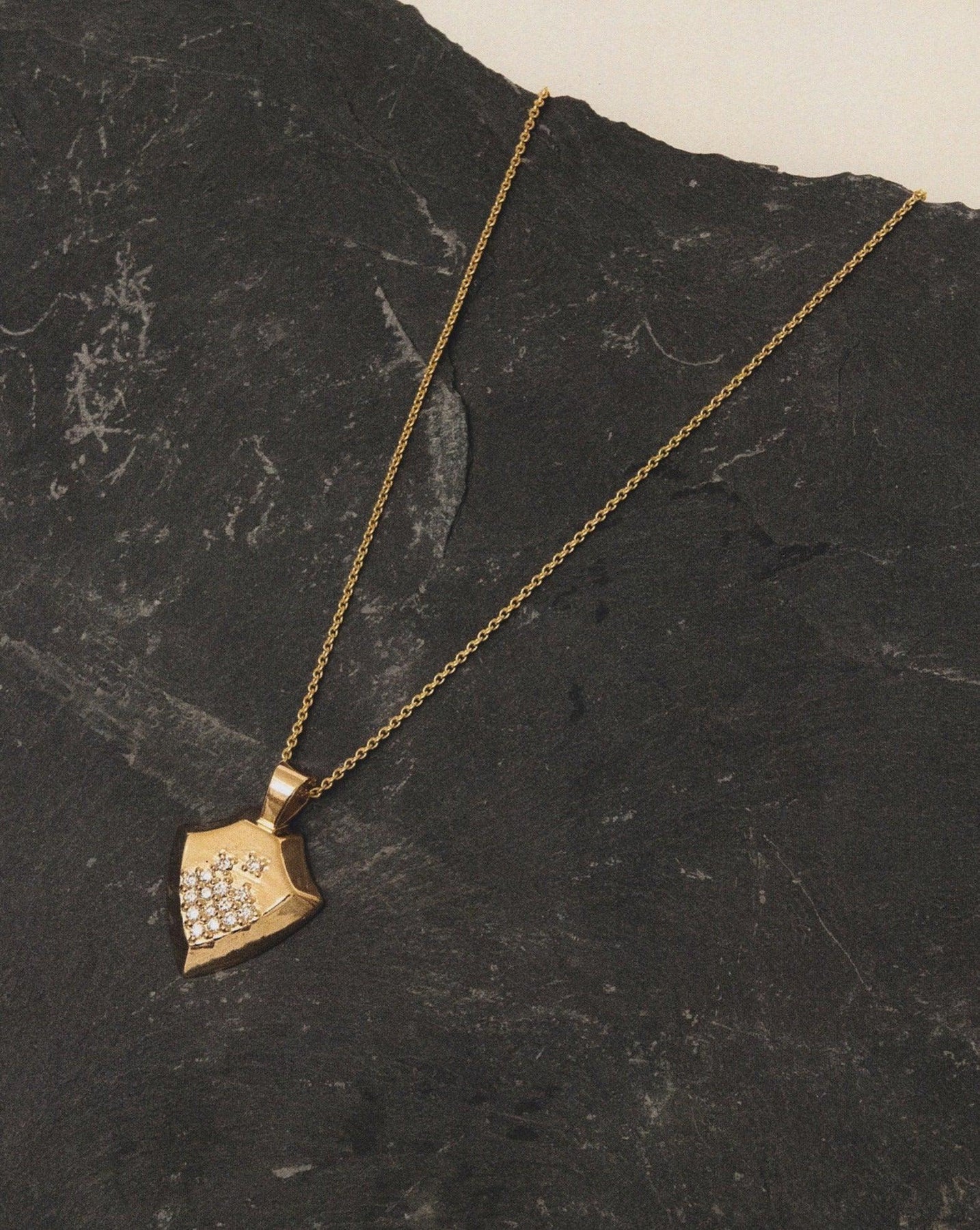  Shield necklace - Shield Necklace -  The Future Rocks -    2 