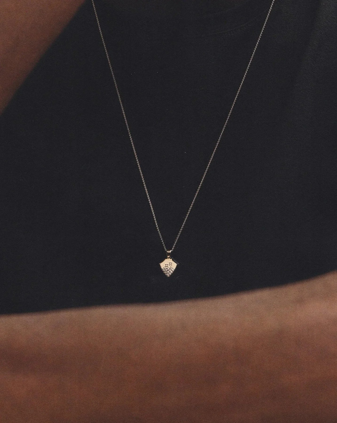  Shield necklace - Shield Necklace -  The Future Rocks -    4 