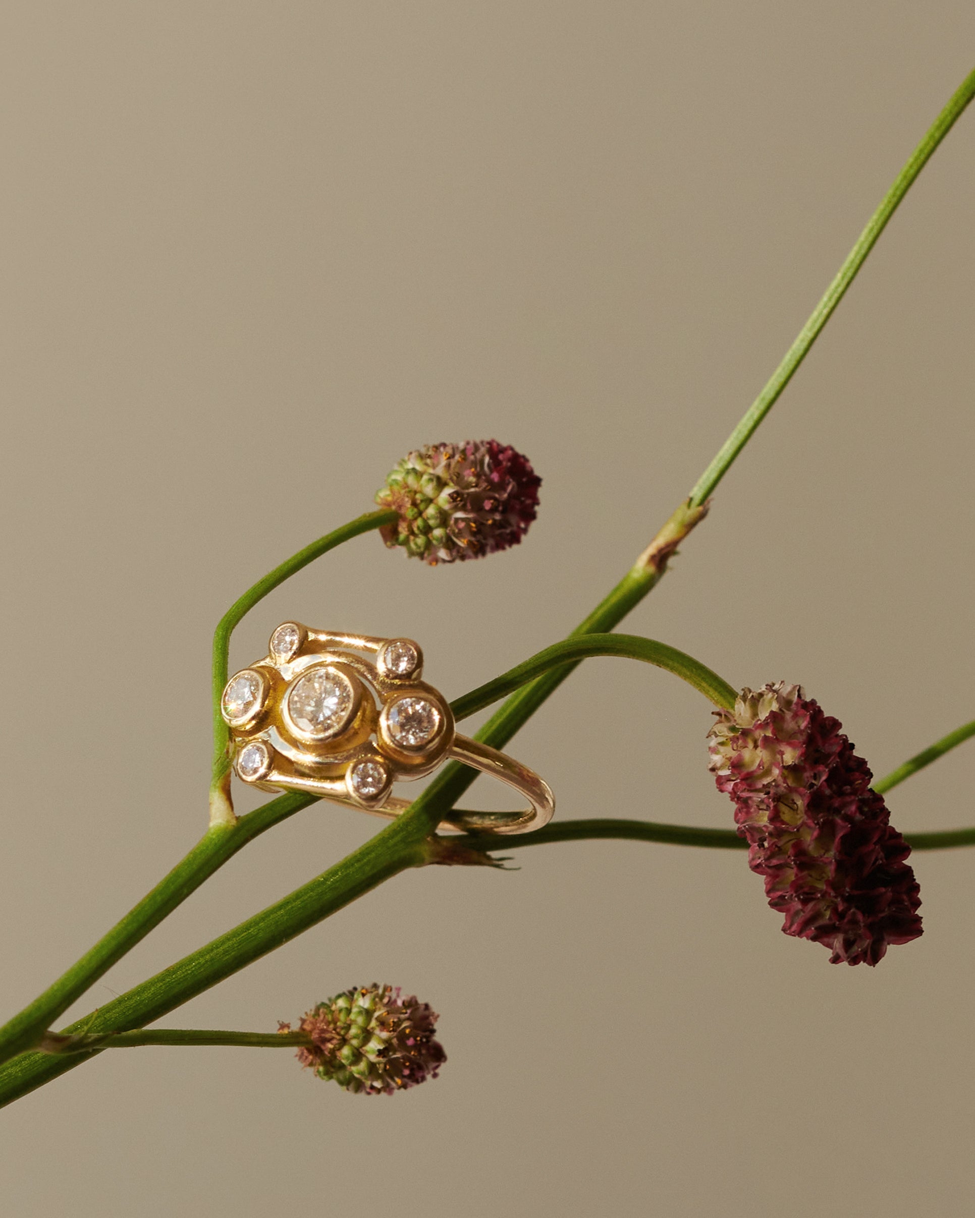 Blossom ring - Blossom Diamond Ring -  The Future Rocks -    3
