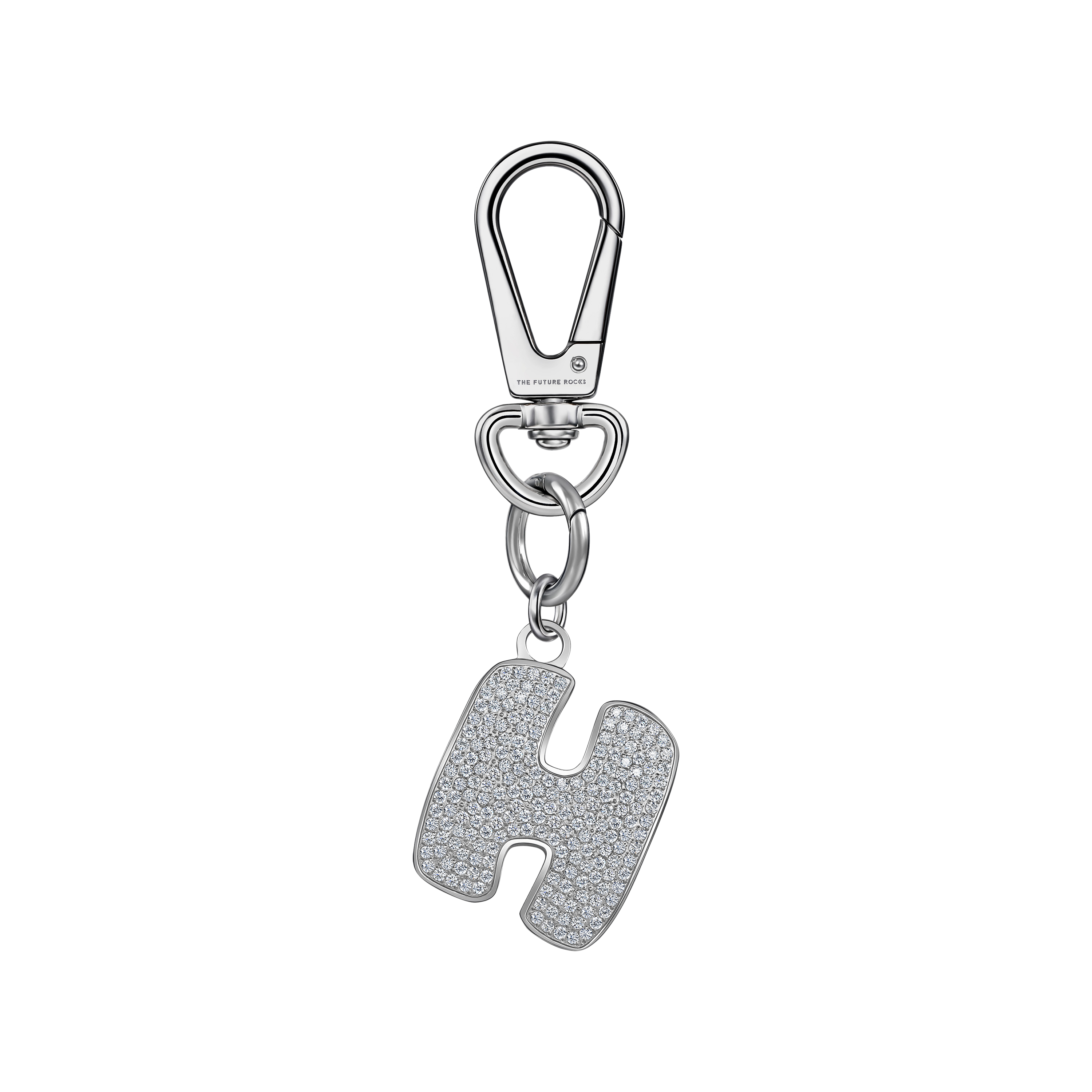  Pet charm - Pet charm -  The Future Rocks -    24 