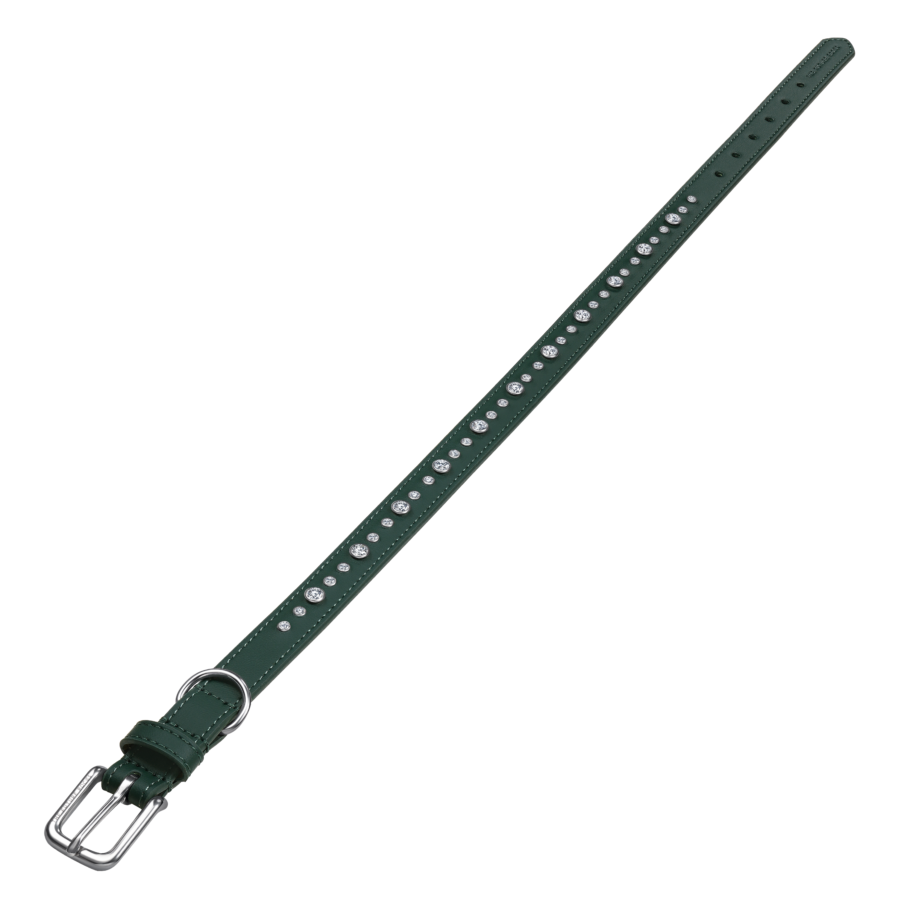 Green pet collar and leash bundle